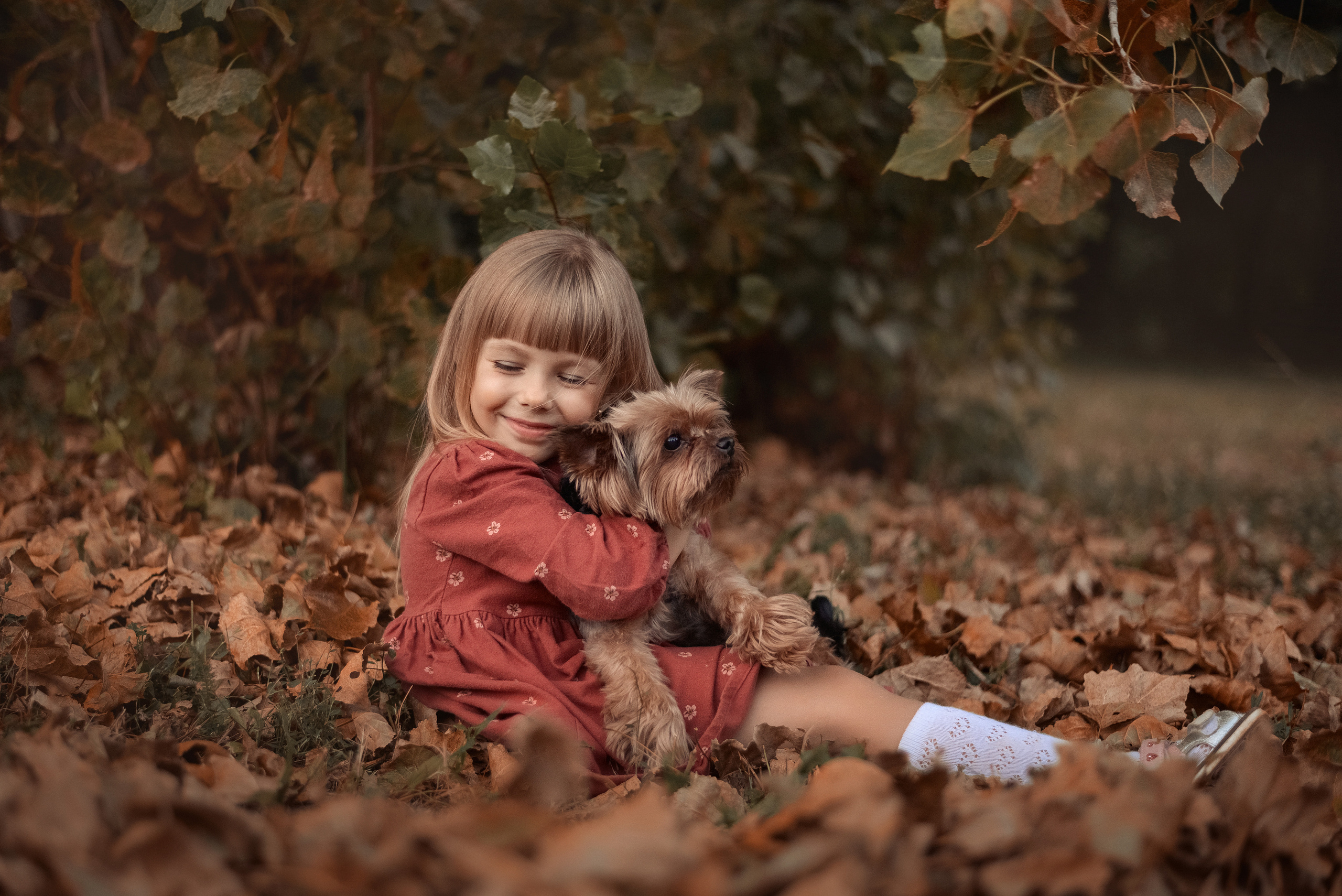 Прогулка с домашним питомцем. Фотограф в Гродно Ольга Лукуть