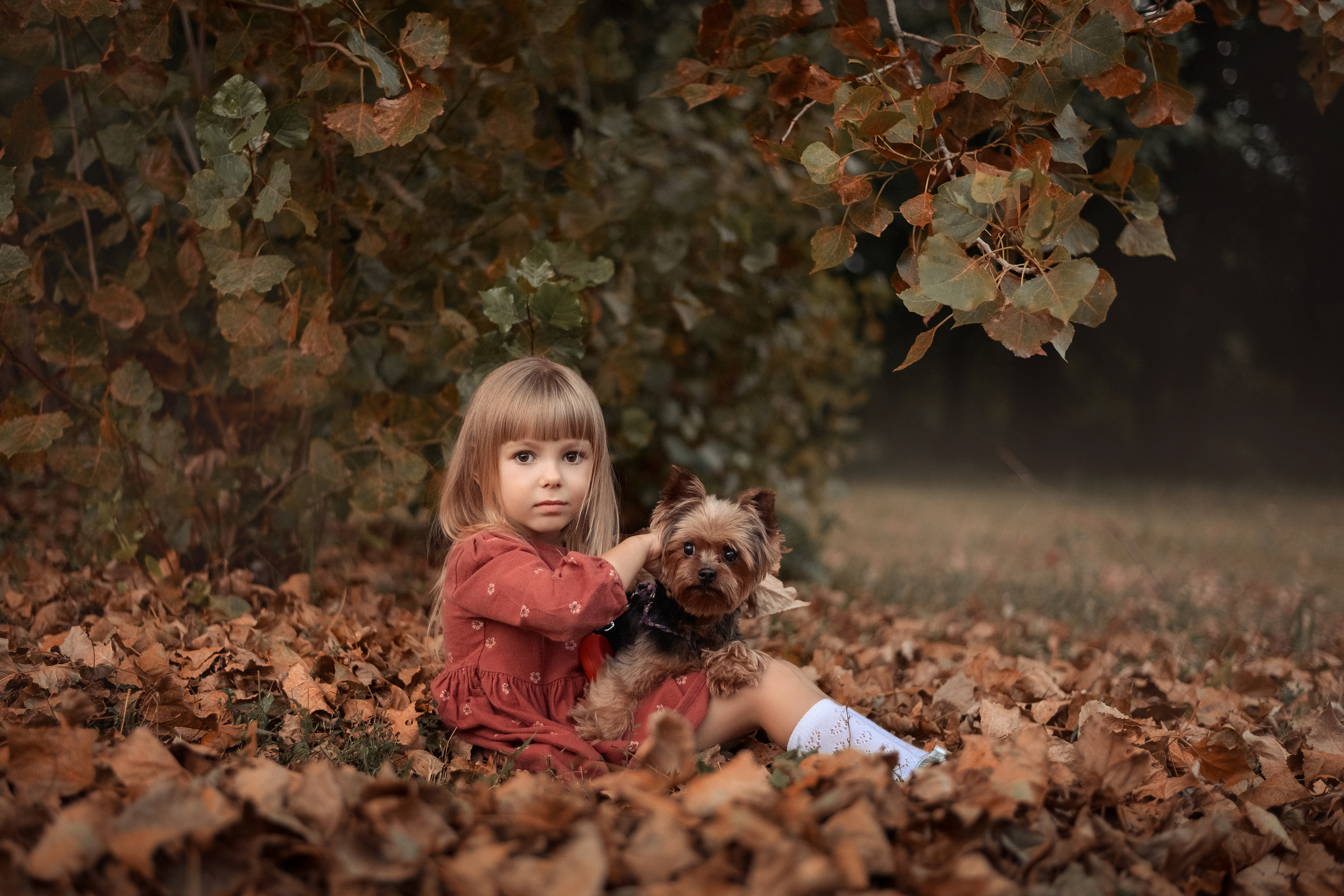 Прогулка с домашним питомцем. Фотограф в Гродно Ольга Лукуть