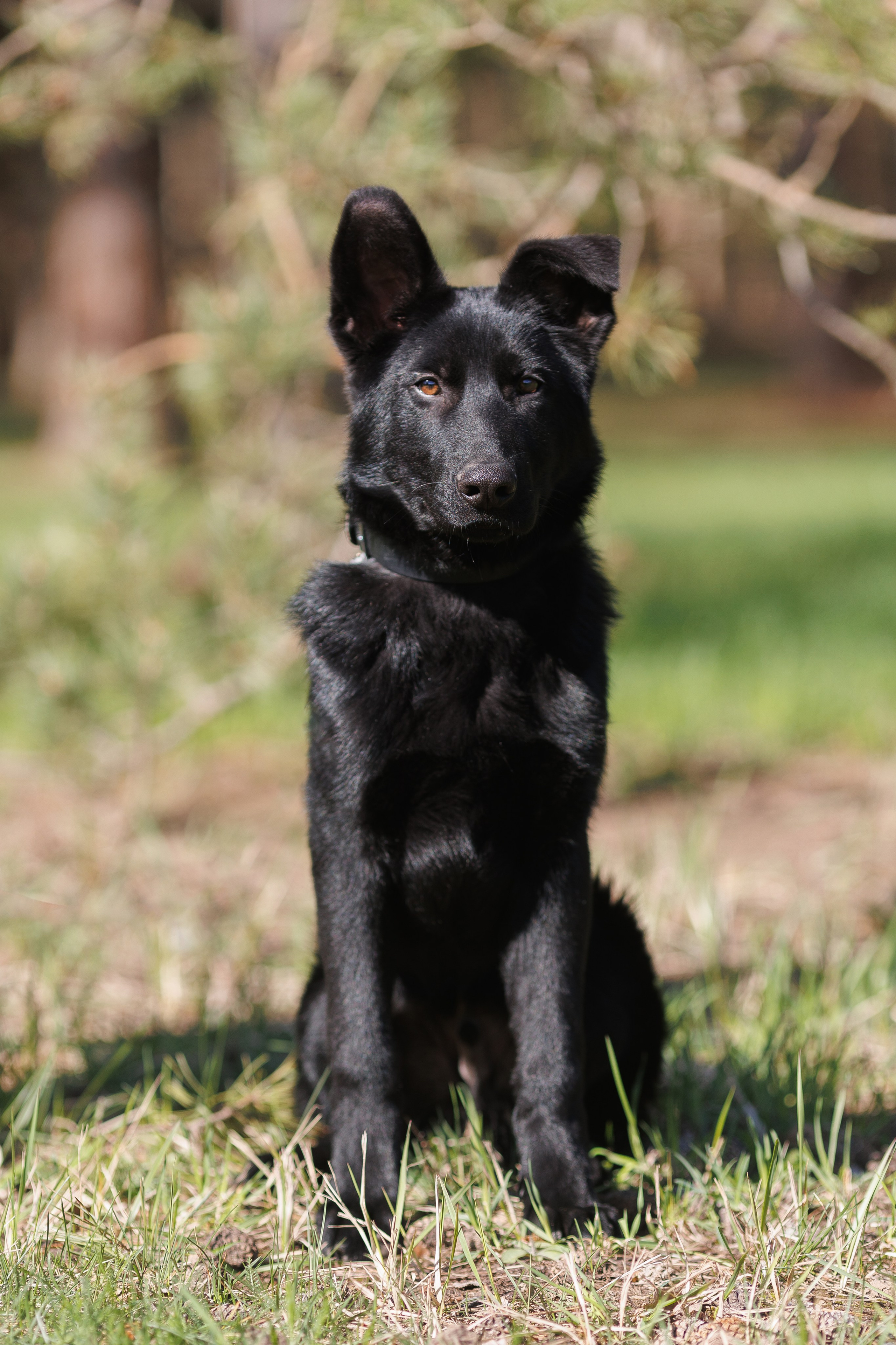 Репортажный фотограф Борис Геер