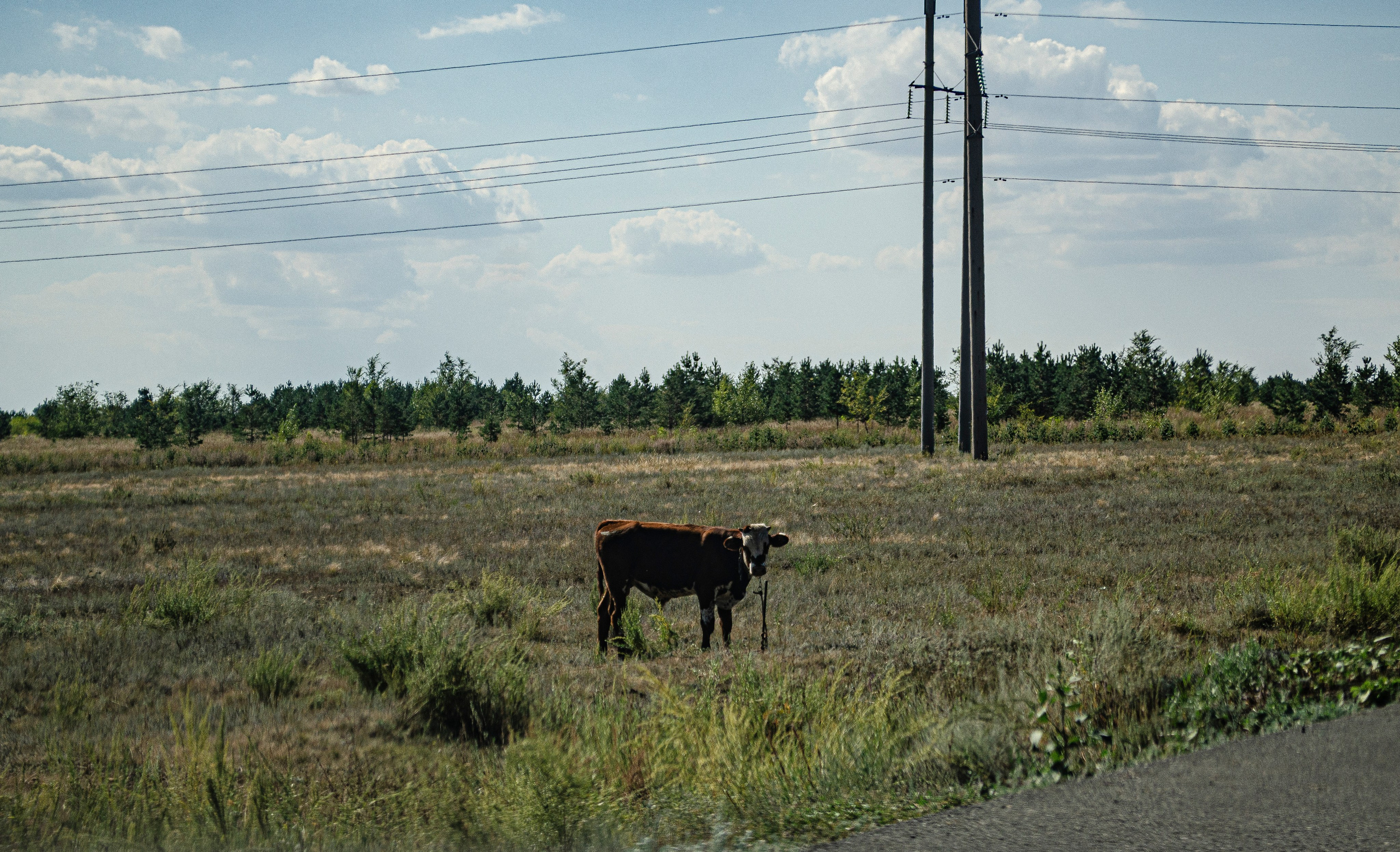Пейзажи. Sreda fotoArt