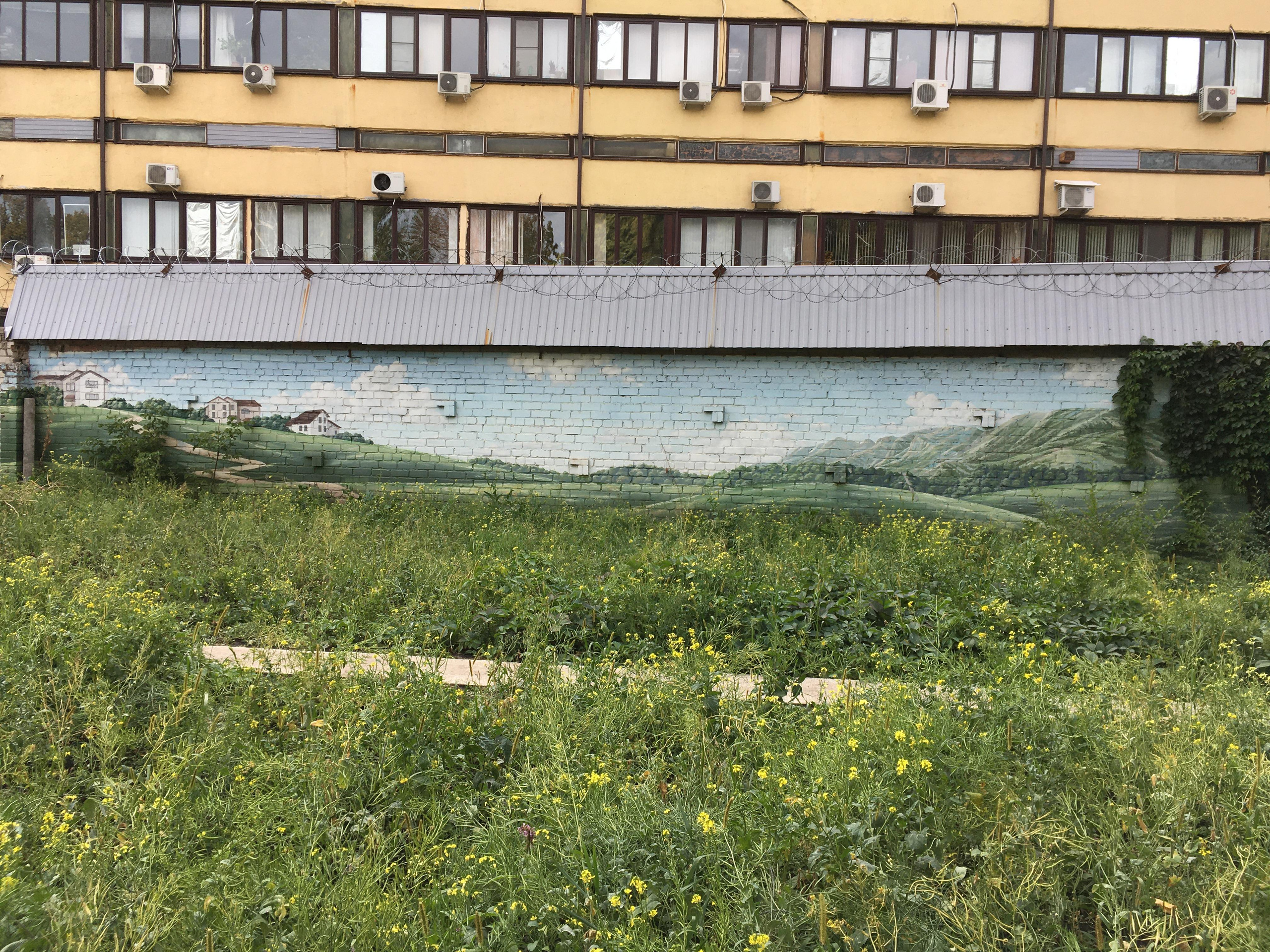 Природоведение. «ФотоСинтез»