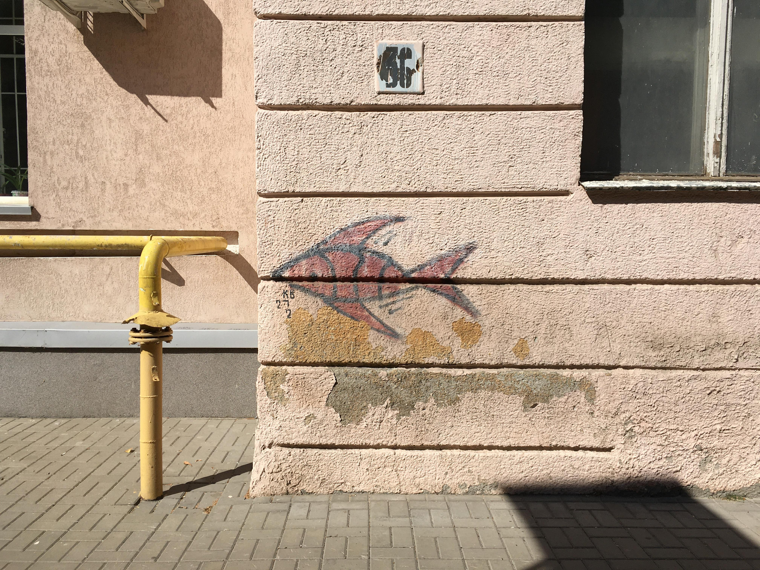 Природоведение. «ФотоСинтез»