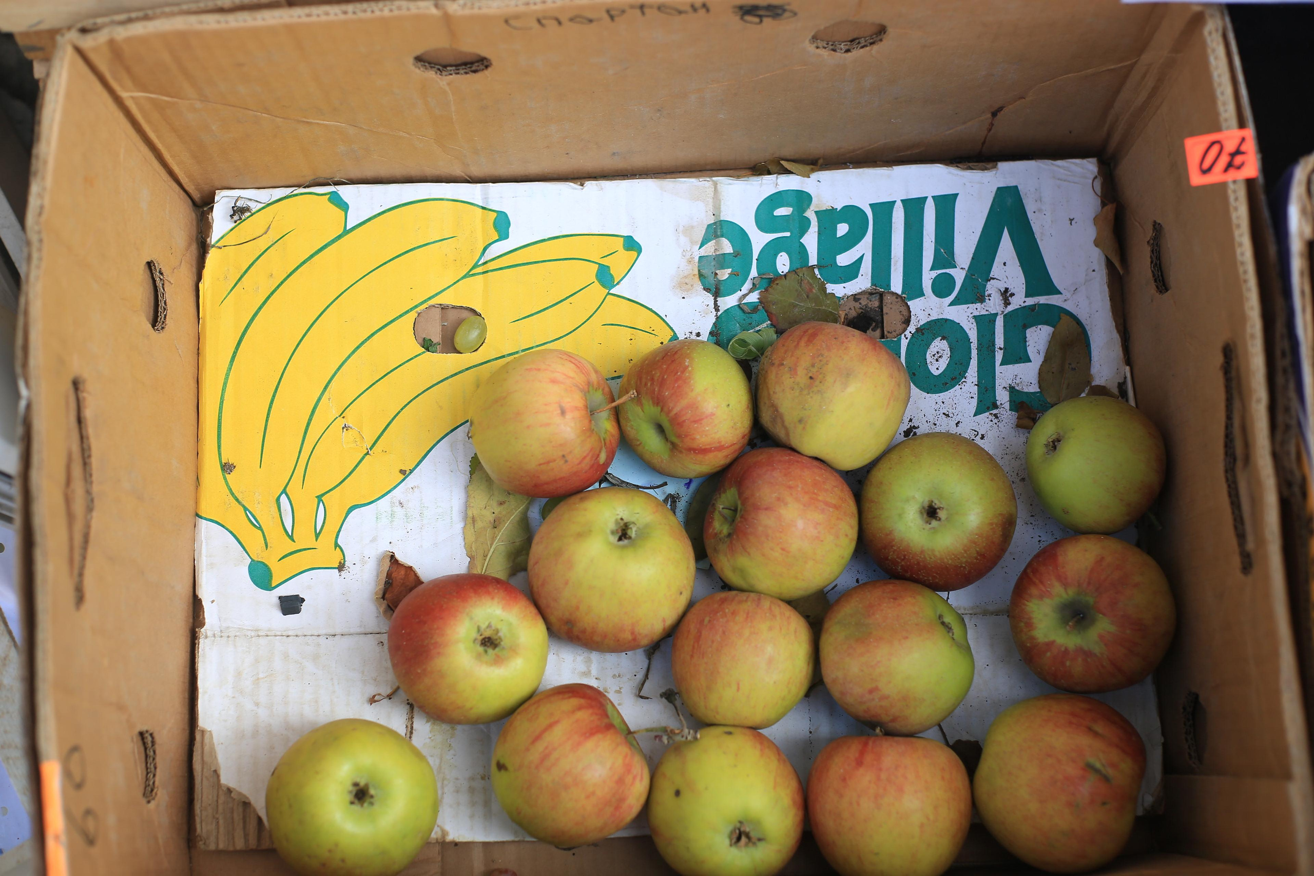 Природоведение. «ФотоСинтез»