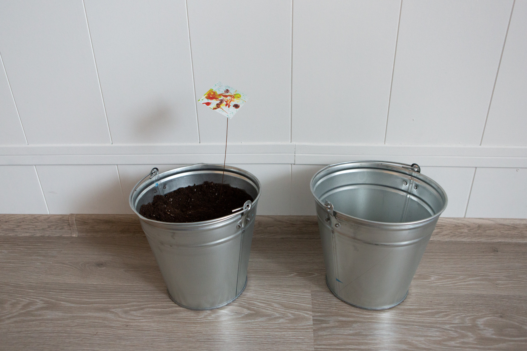 Природоведение. «ФотоСинтез»