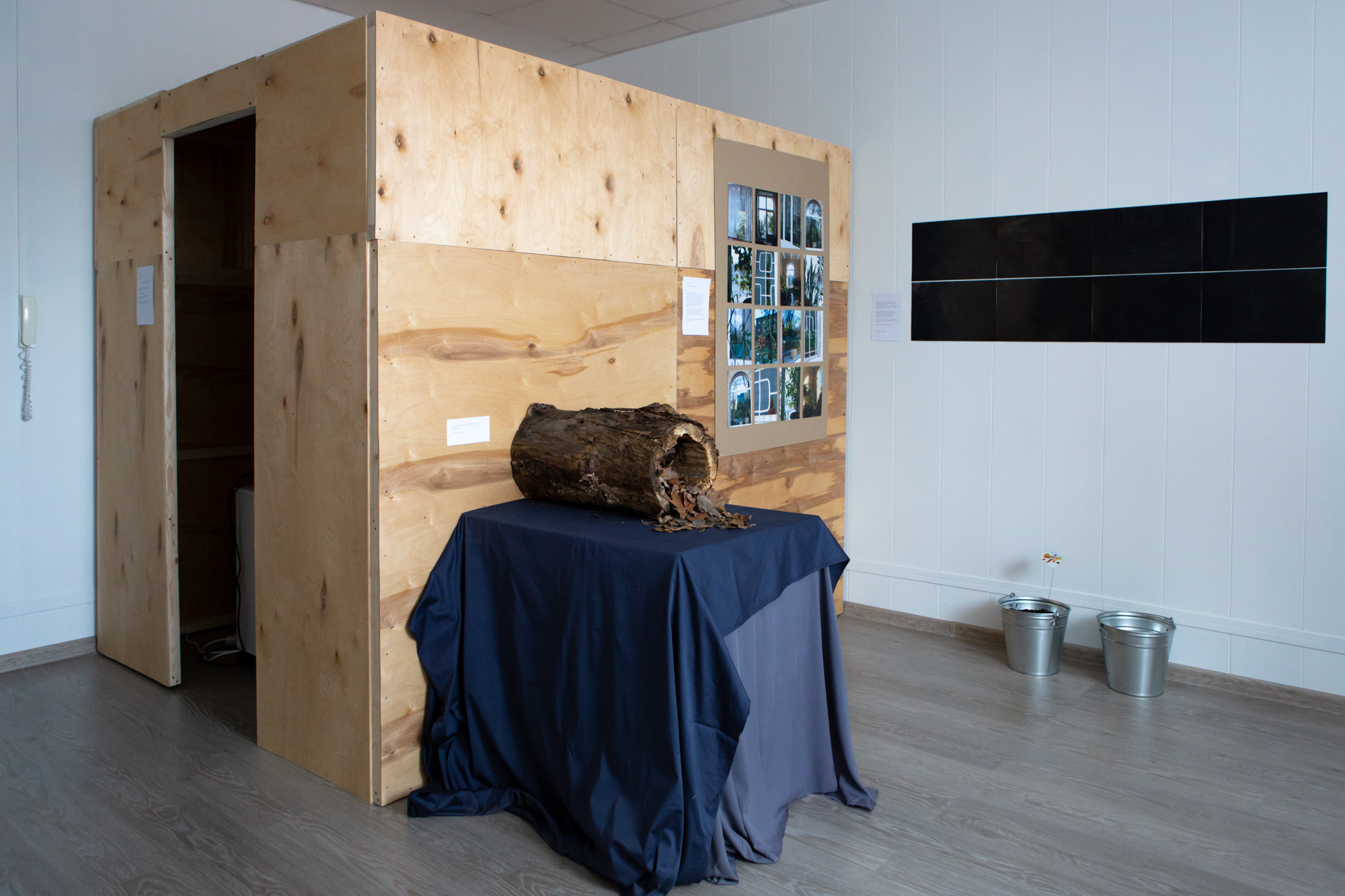 Природоведение. «ФотоСинтез»