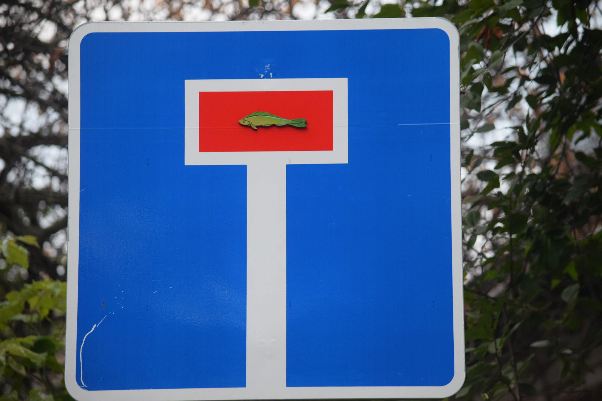 Дрейф. «ФотоСинтез»