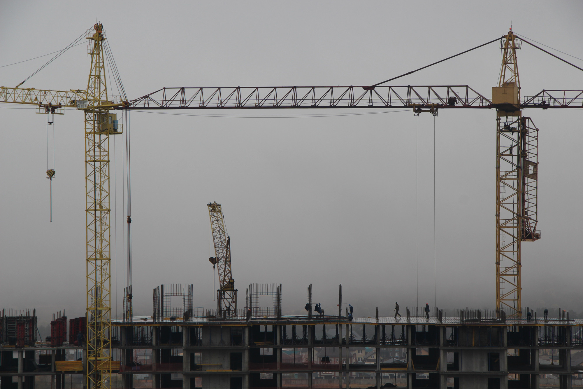 Быханова Елена. «ФотоСинтез»