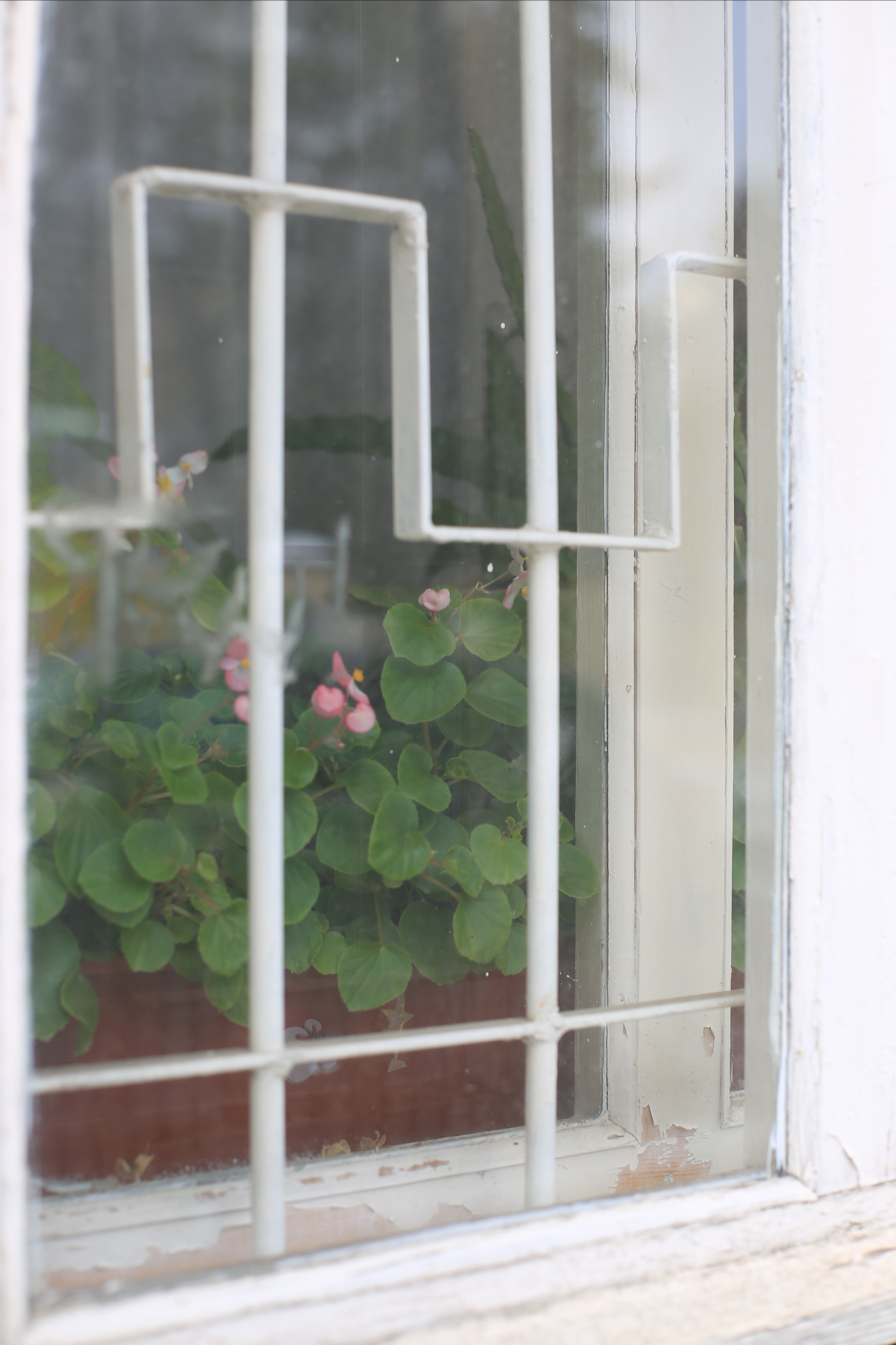 Природоведение. «ФотоСинтез»