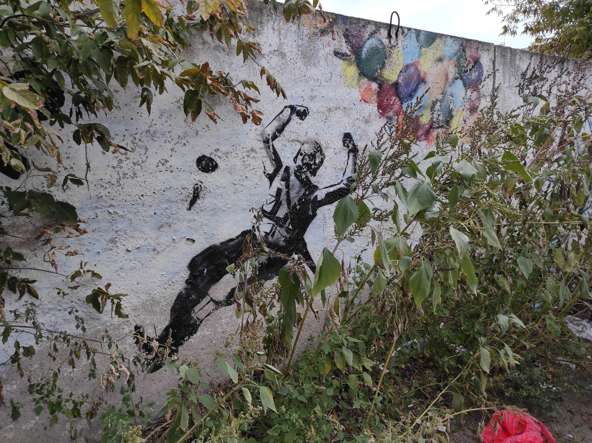 Дрейф. «ФотоСинтез»