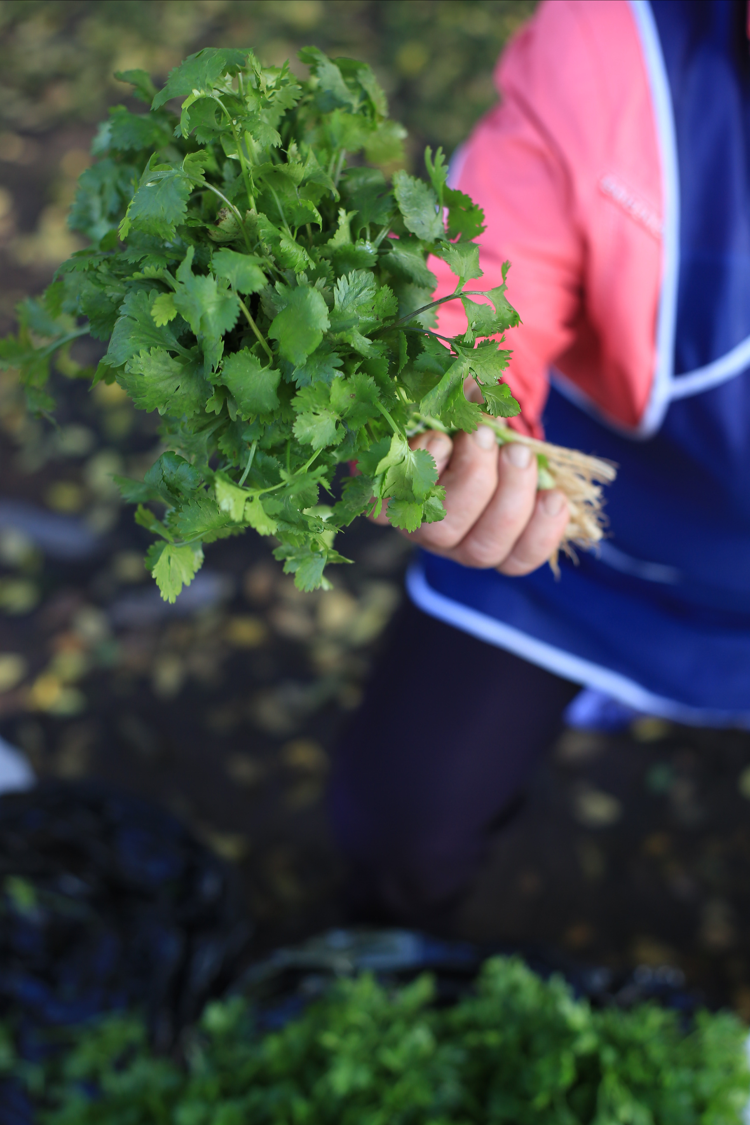 Природоведение. «ФотоСинтез»