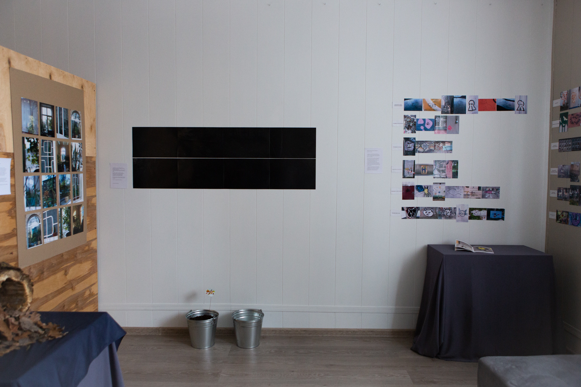 Природоведение. «ФотоСинтез»