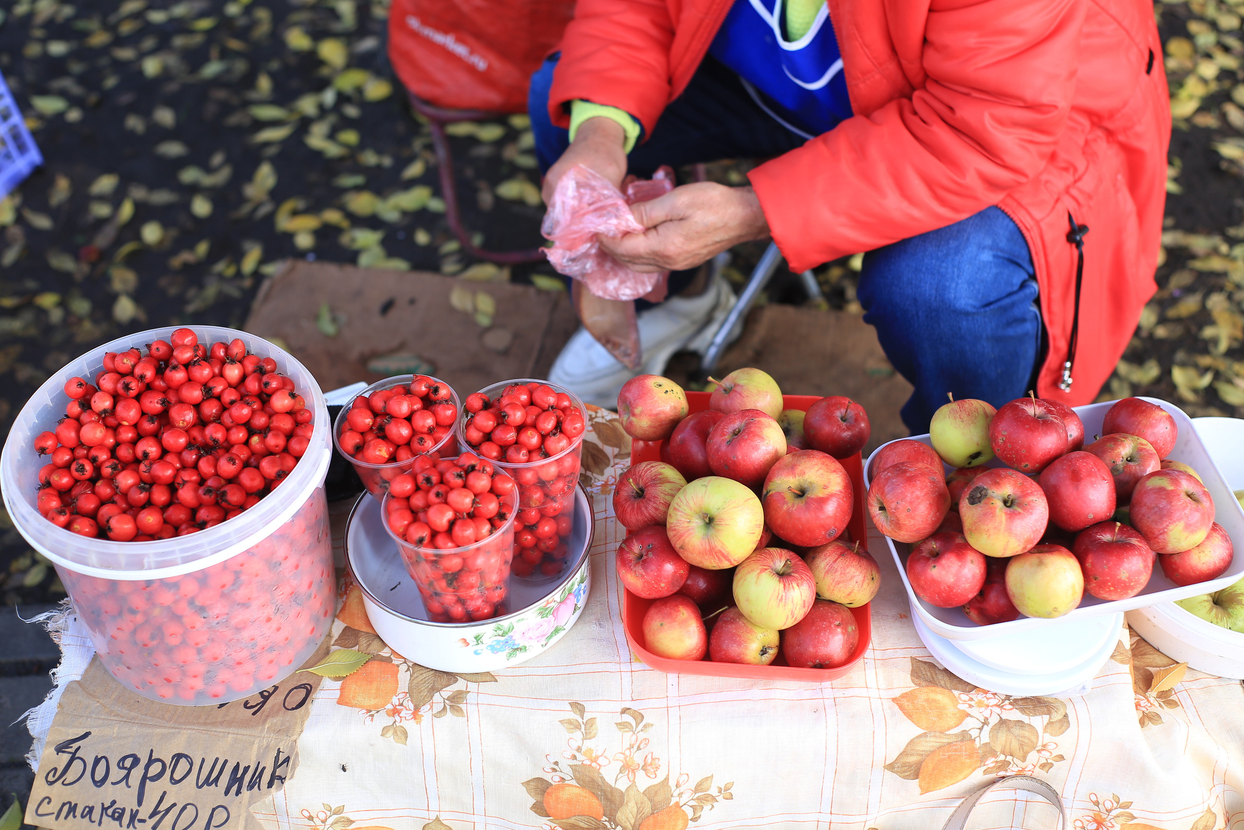 Природоведение. «ФотоСинтез»