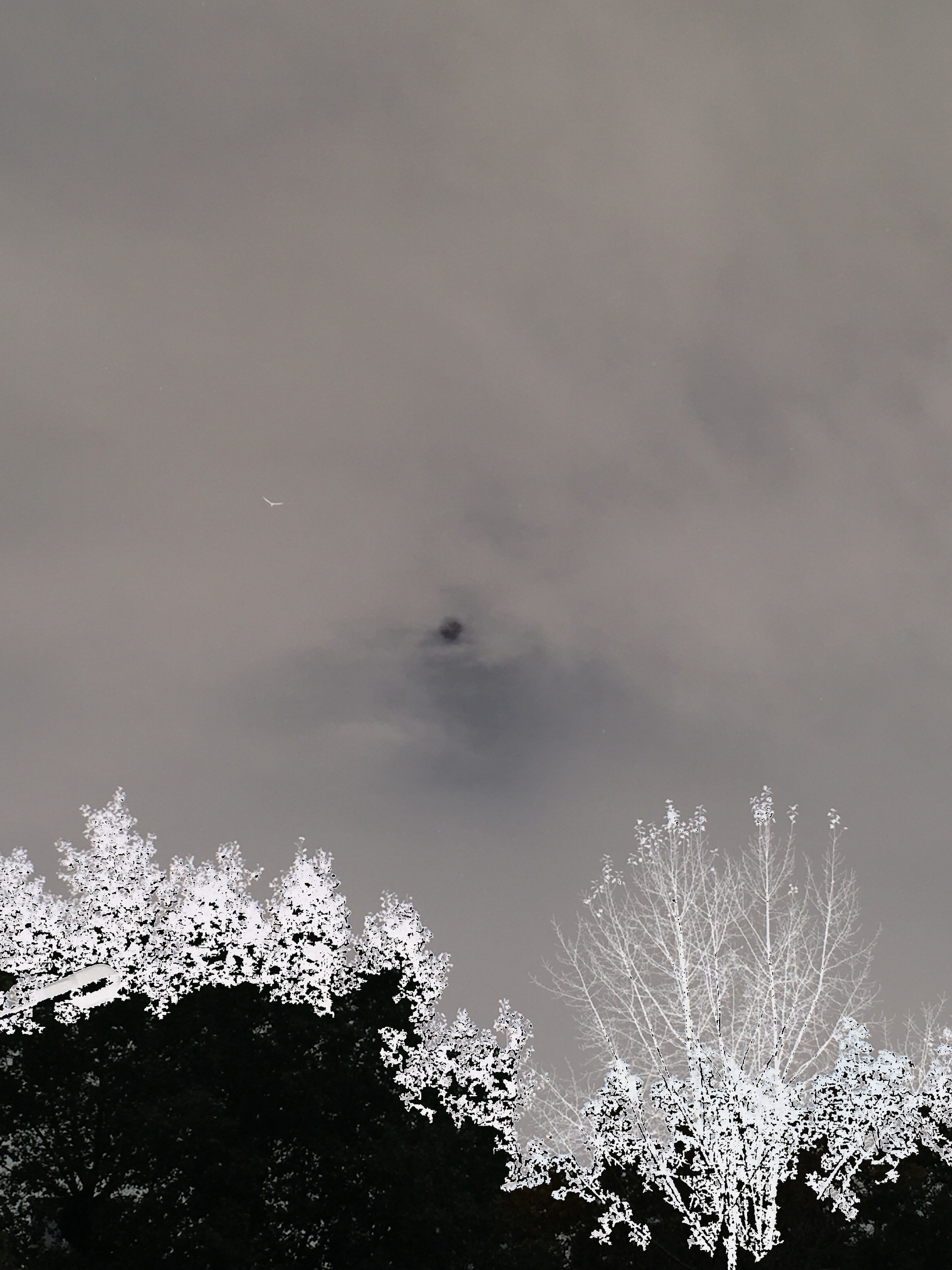 Природоведение. «ФотоСинтез»