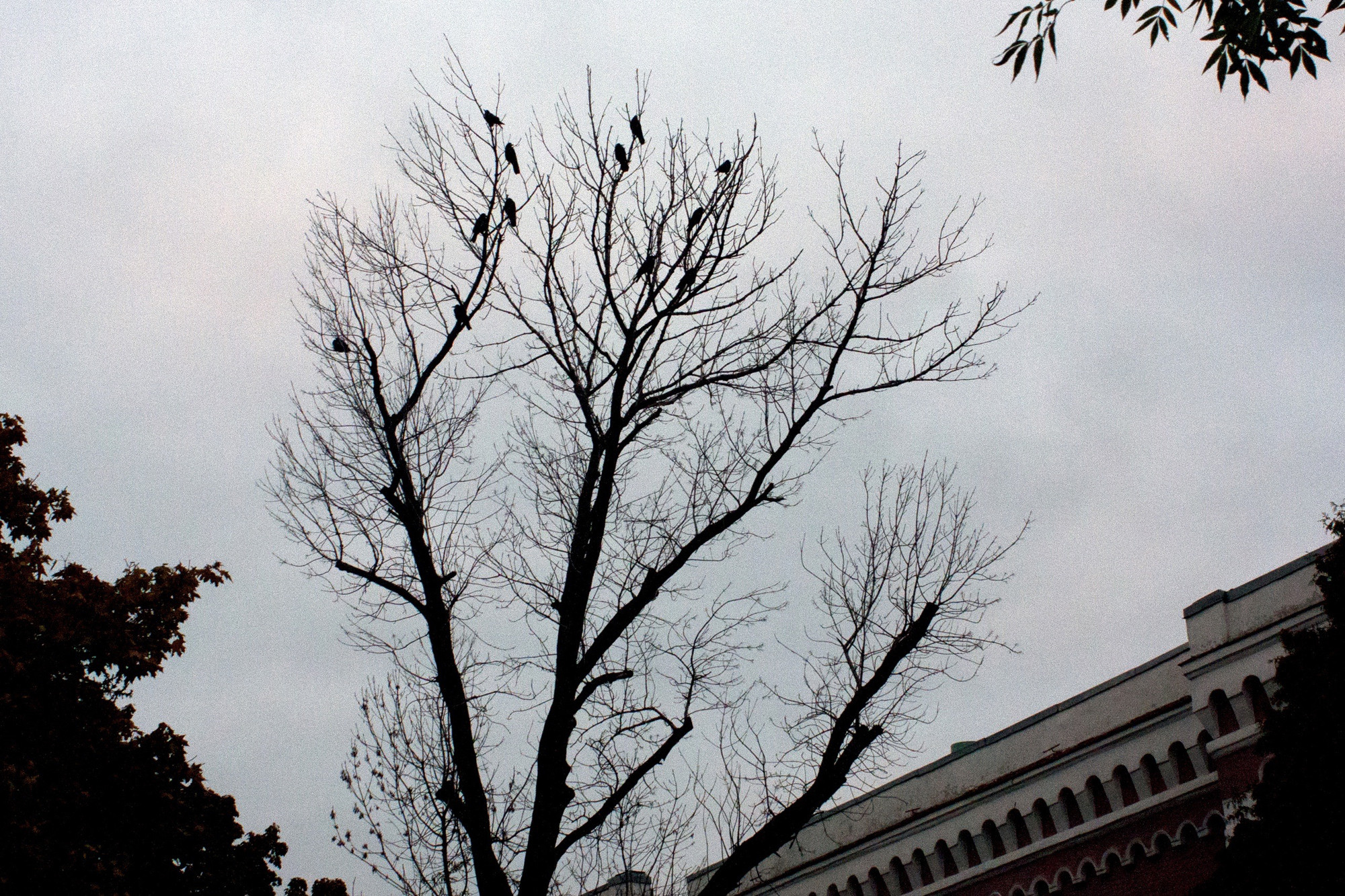 Дрейф. «ФотоСинтез»