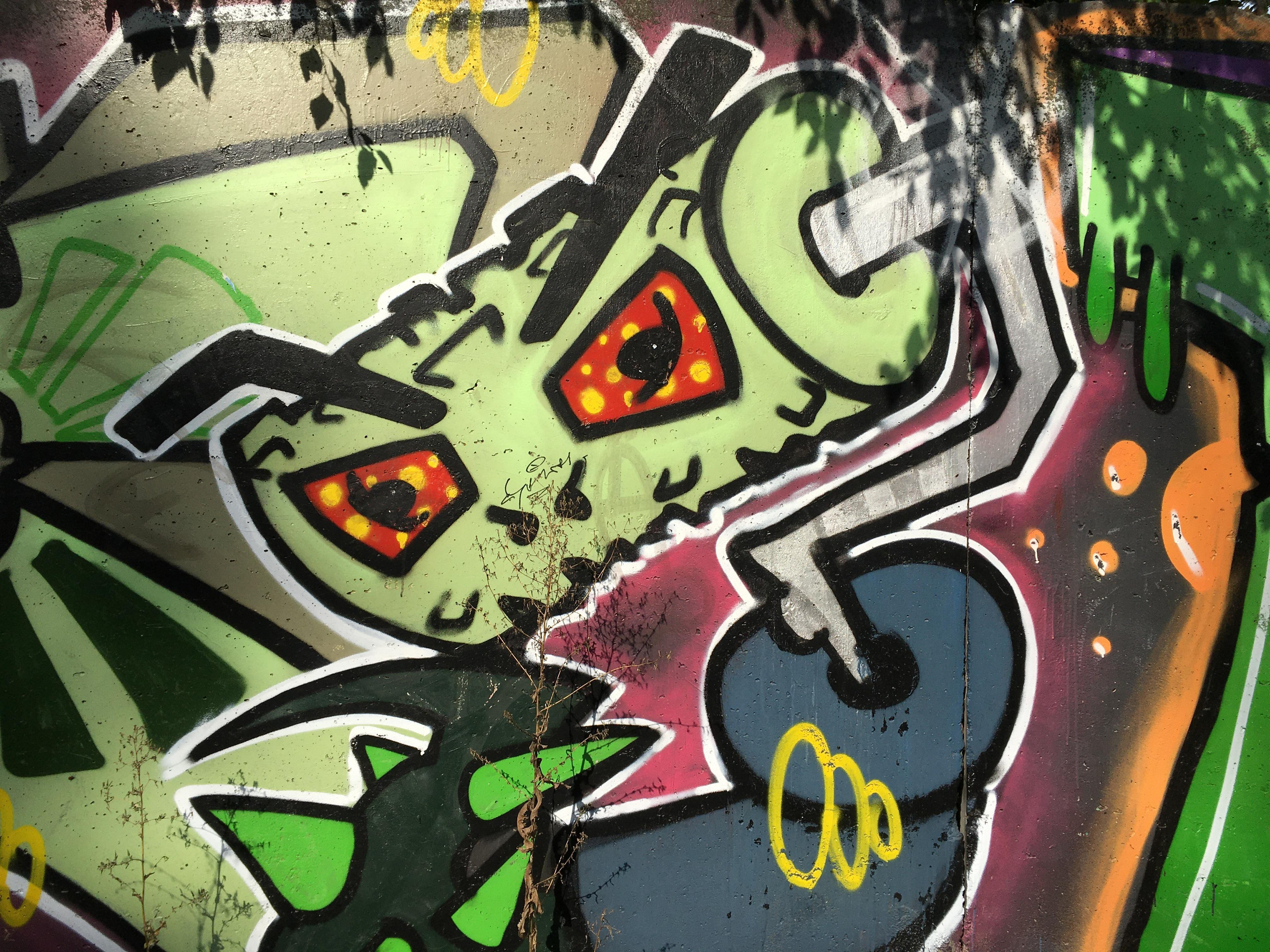 Природоведение. «ФотоСинтез»