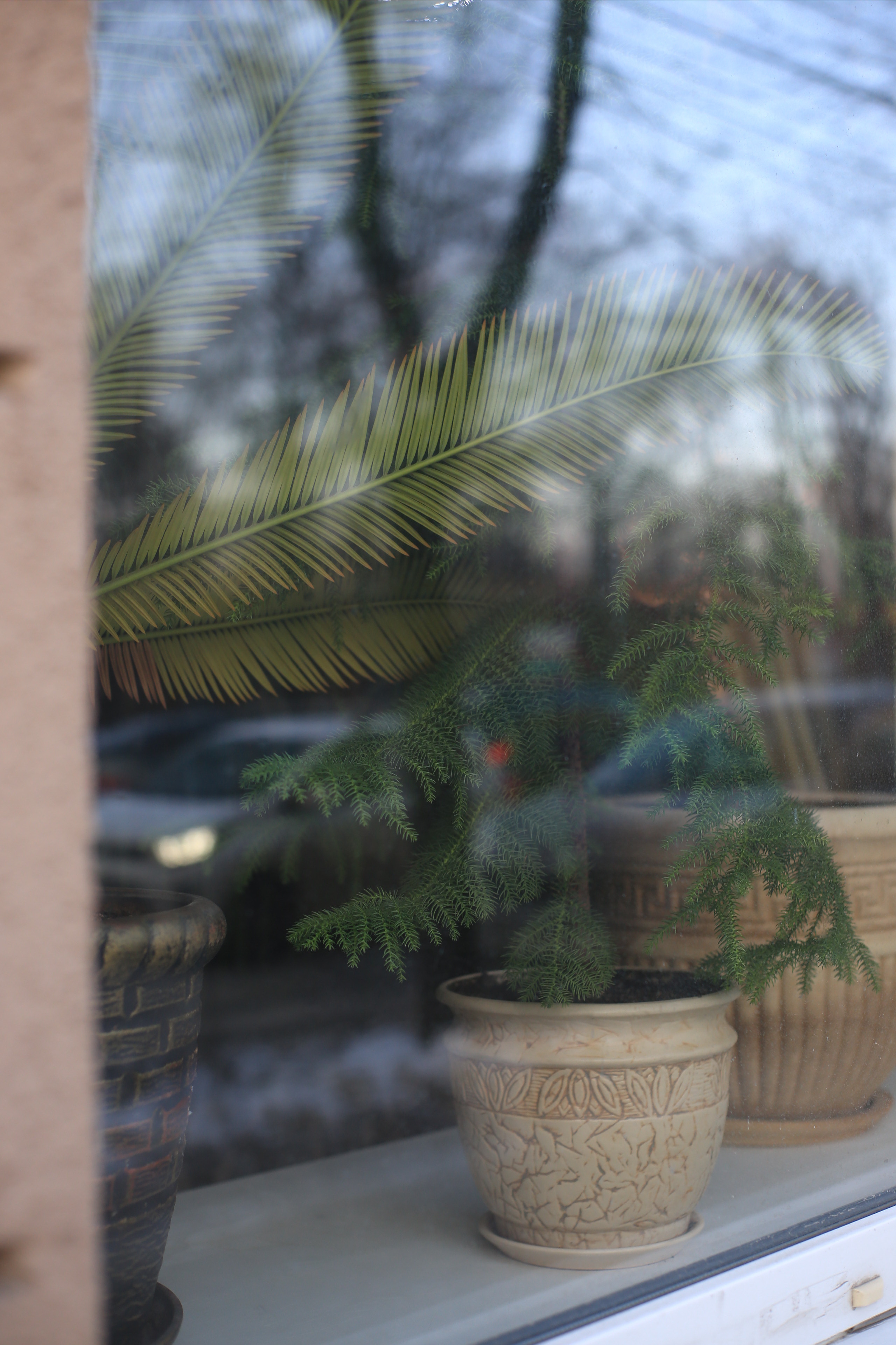 Природоведение. «ФотоСинтез»