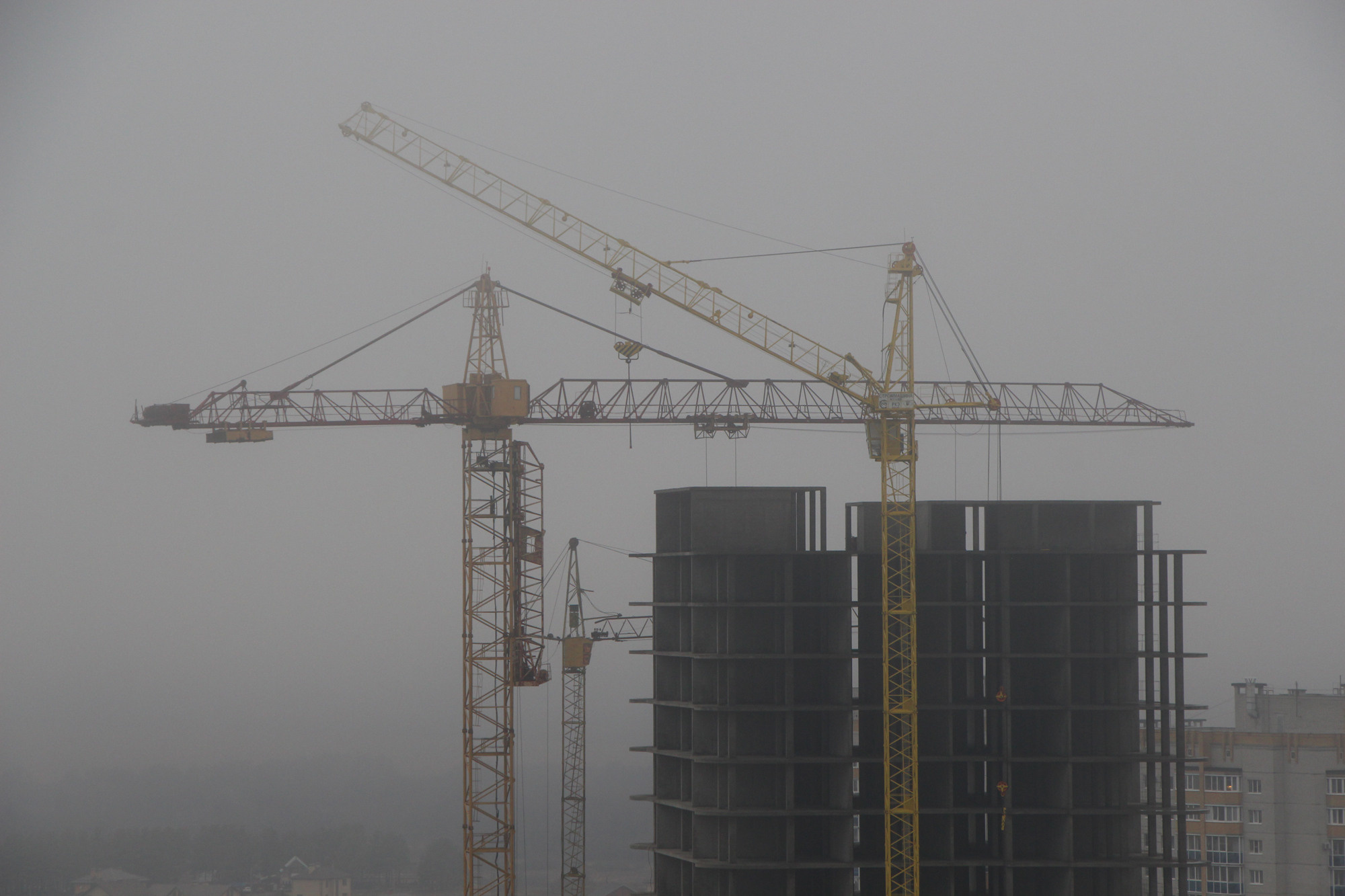 Быханова Елена. «ФотоСинтез»