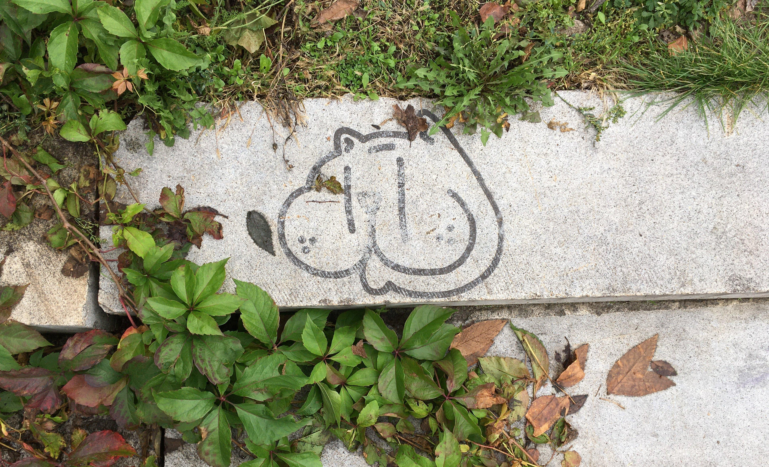 Природоведение. «ФотоСинтез»