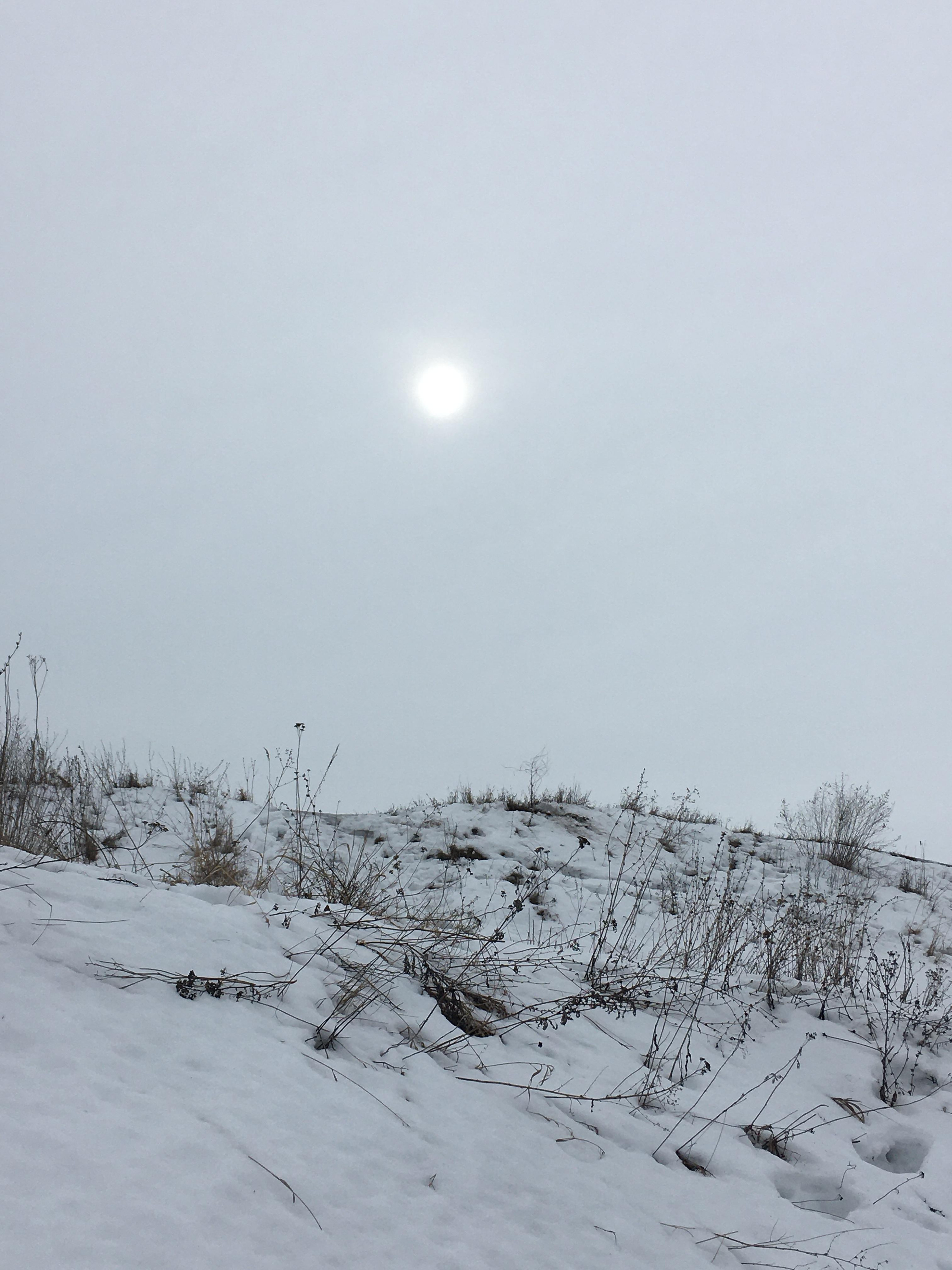 Природоведение. «ФотоСинтез»