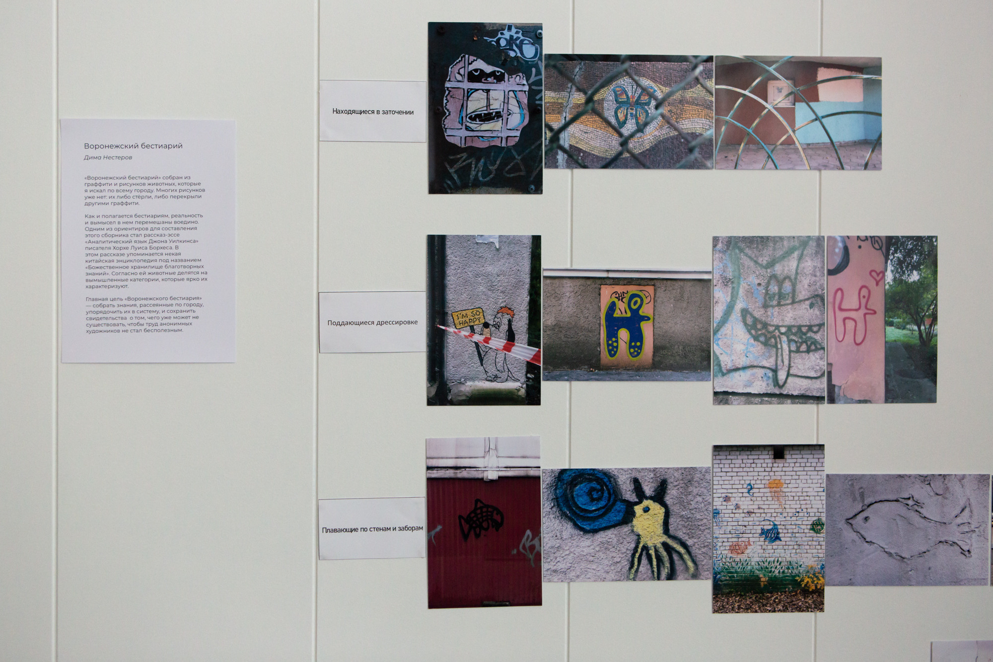 Природоведение. «ФотоСинтез»