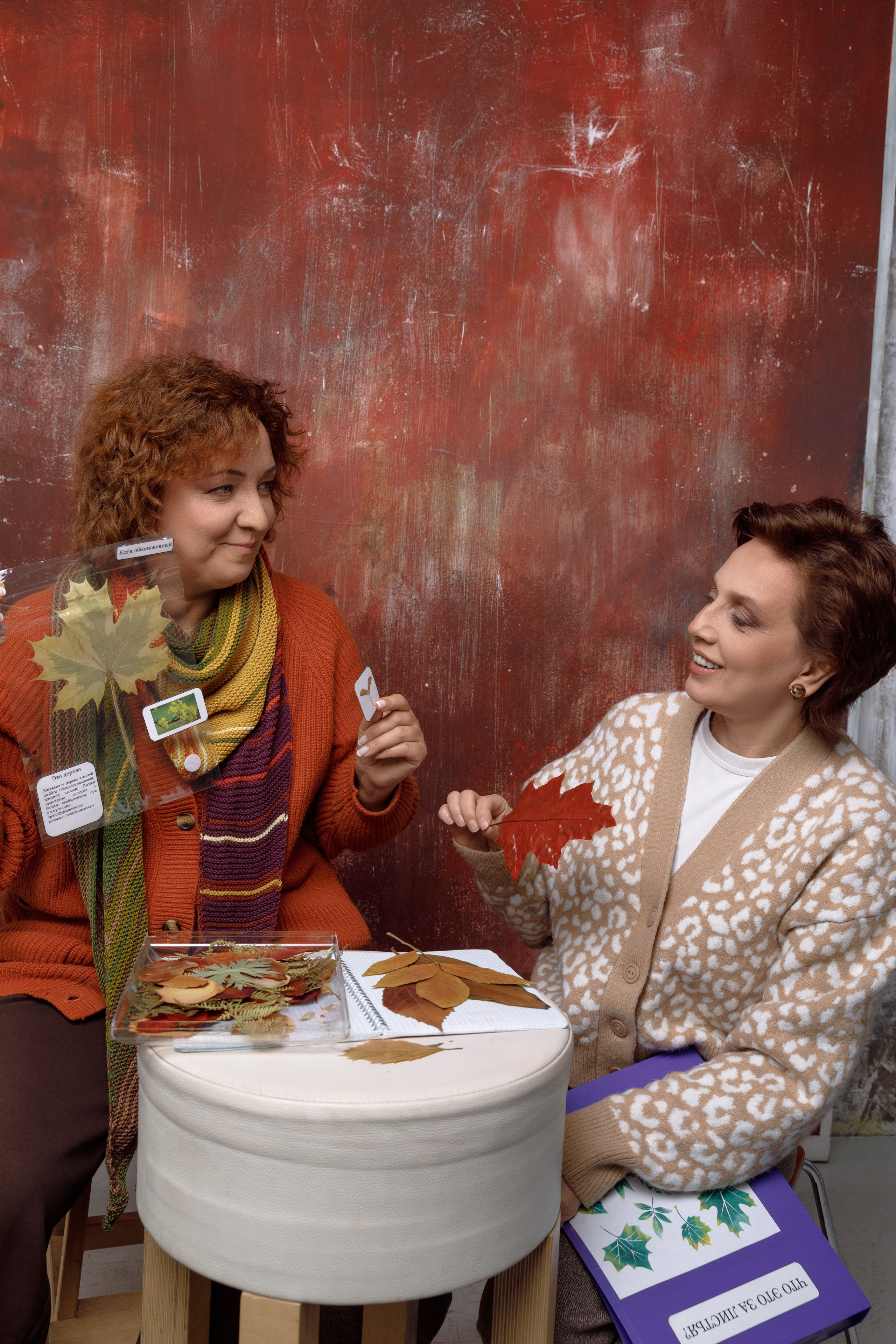 Это не новогодняя фотосессия. Это реклама курсов. Фотограф в Москве Слуцкая Наталья, репортаж, портрет, контент