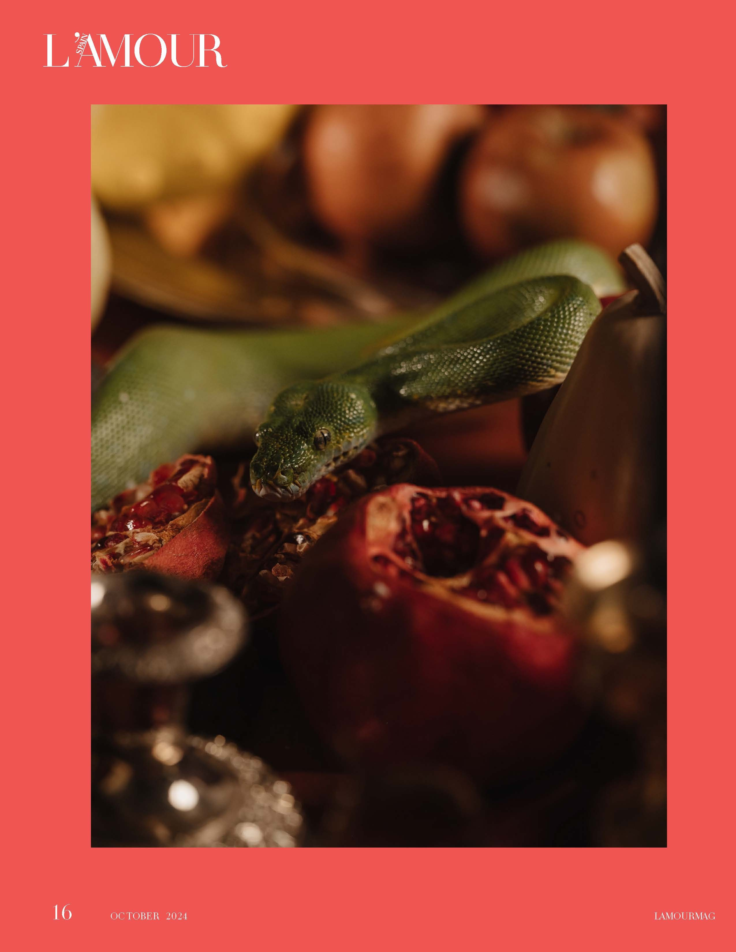 Публикации. Мир живой фотографии о Вас и для Вас