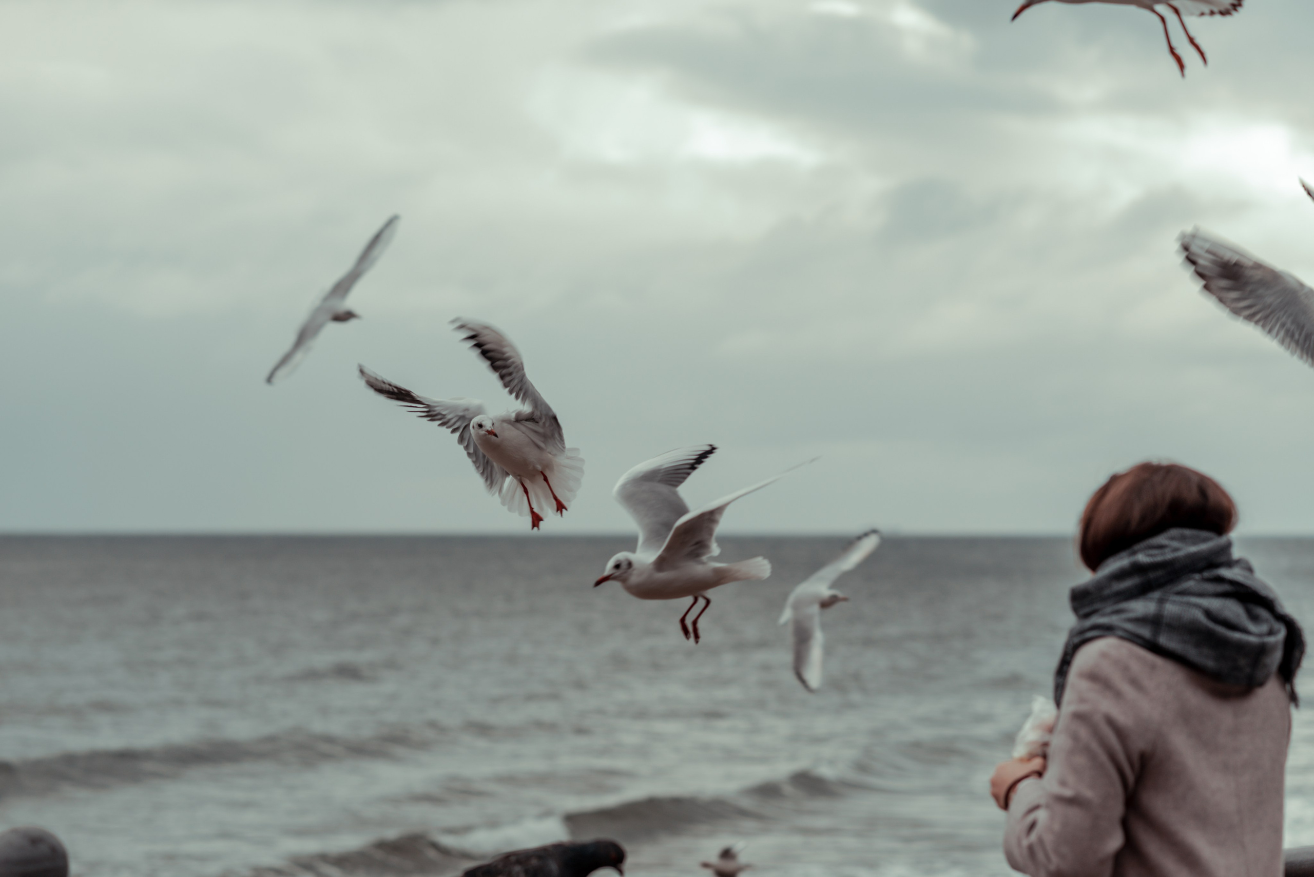 Калининград и его область: через объектив рекламного фотографа из Гуанчжо. Коммерческий и предметный фотограф в Гуанчжоу Коваленко Александр