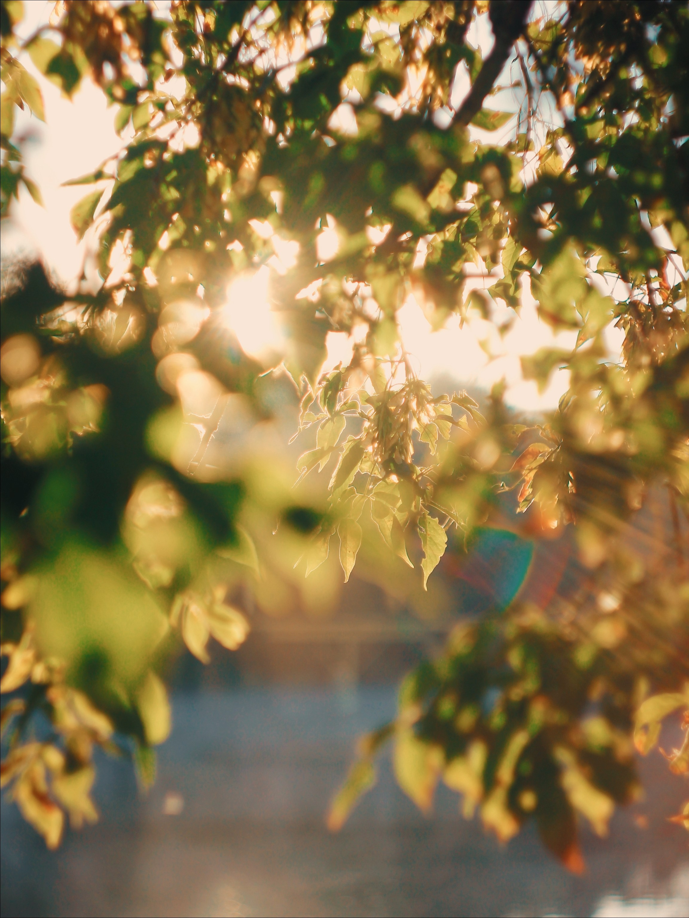 Эфемерность моментов. С любовью, фотохудожник