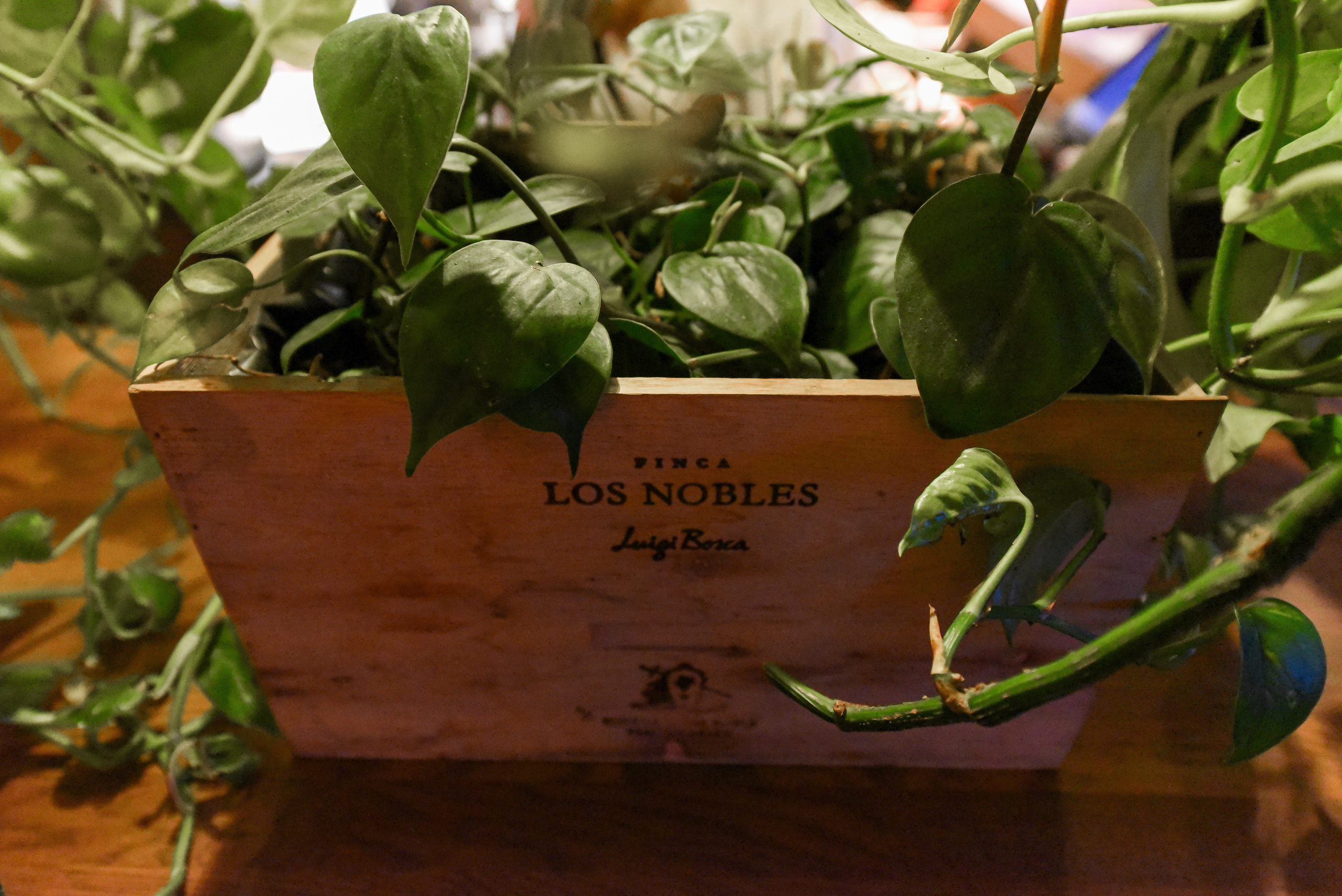 Проекты дизайн-бюро. Фотограф в Москве