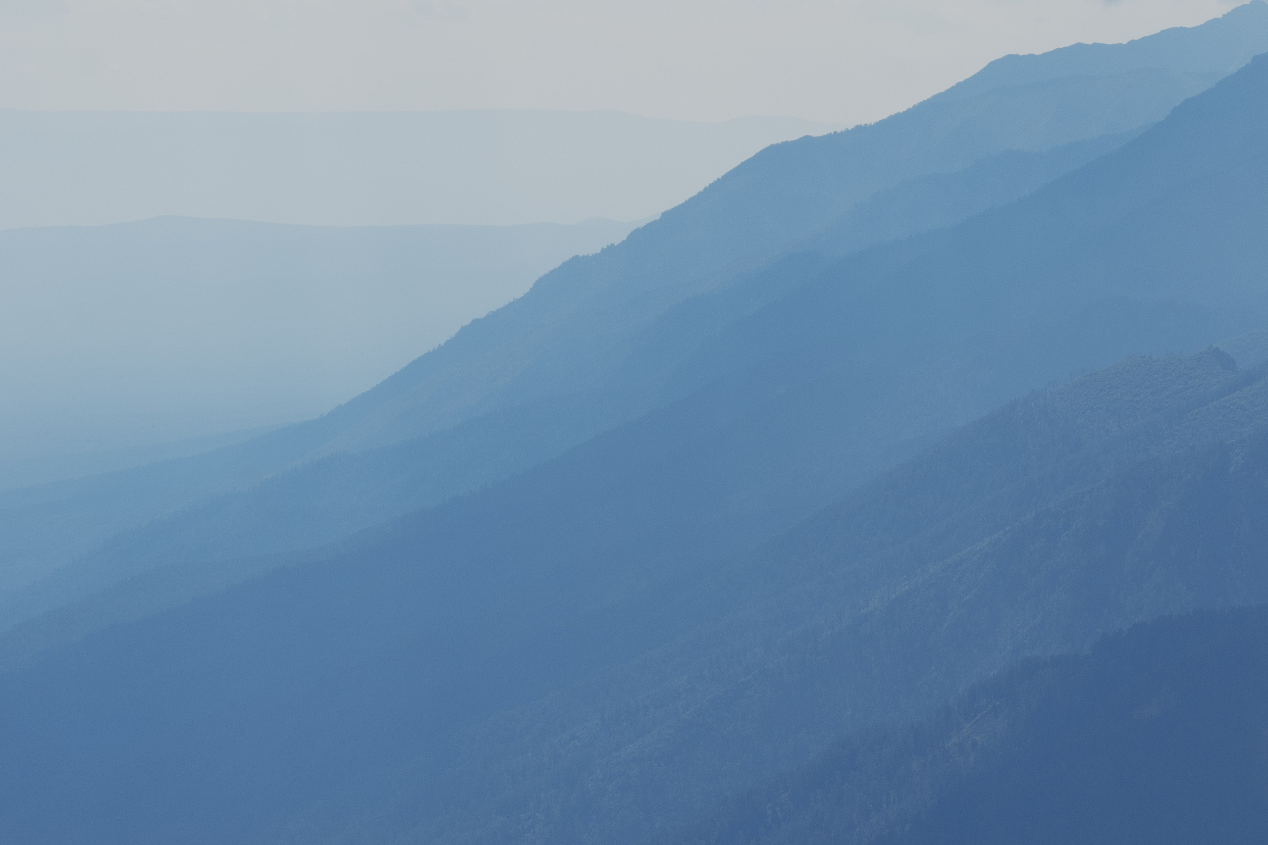 Landscapes. Irina Borodina