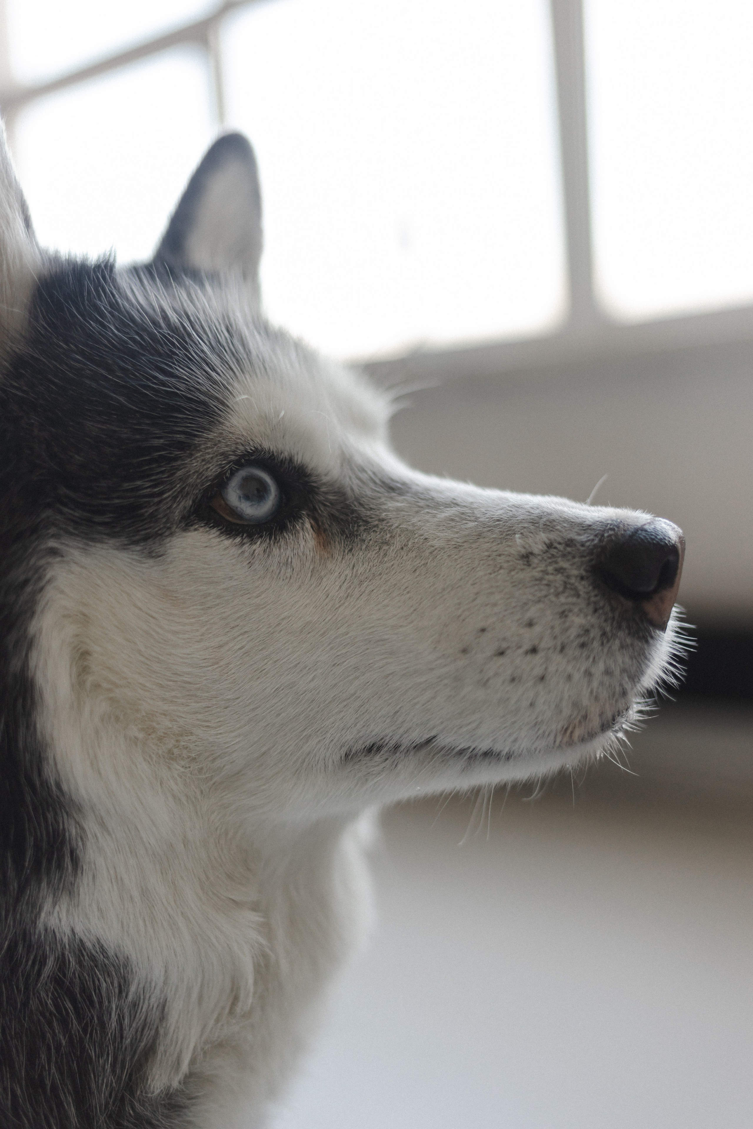 История семьи. Семейный фотограф в Москве