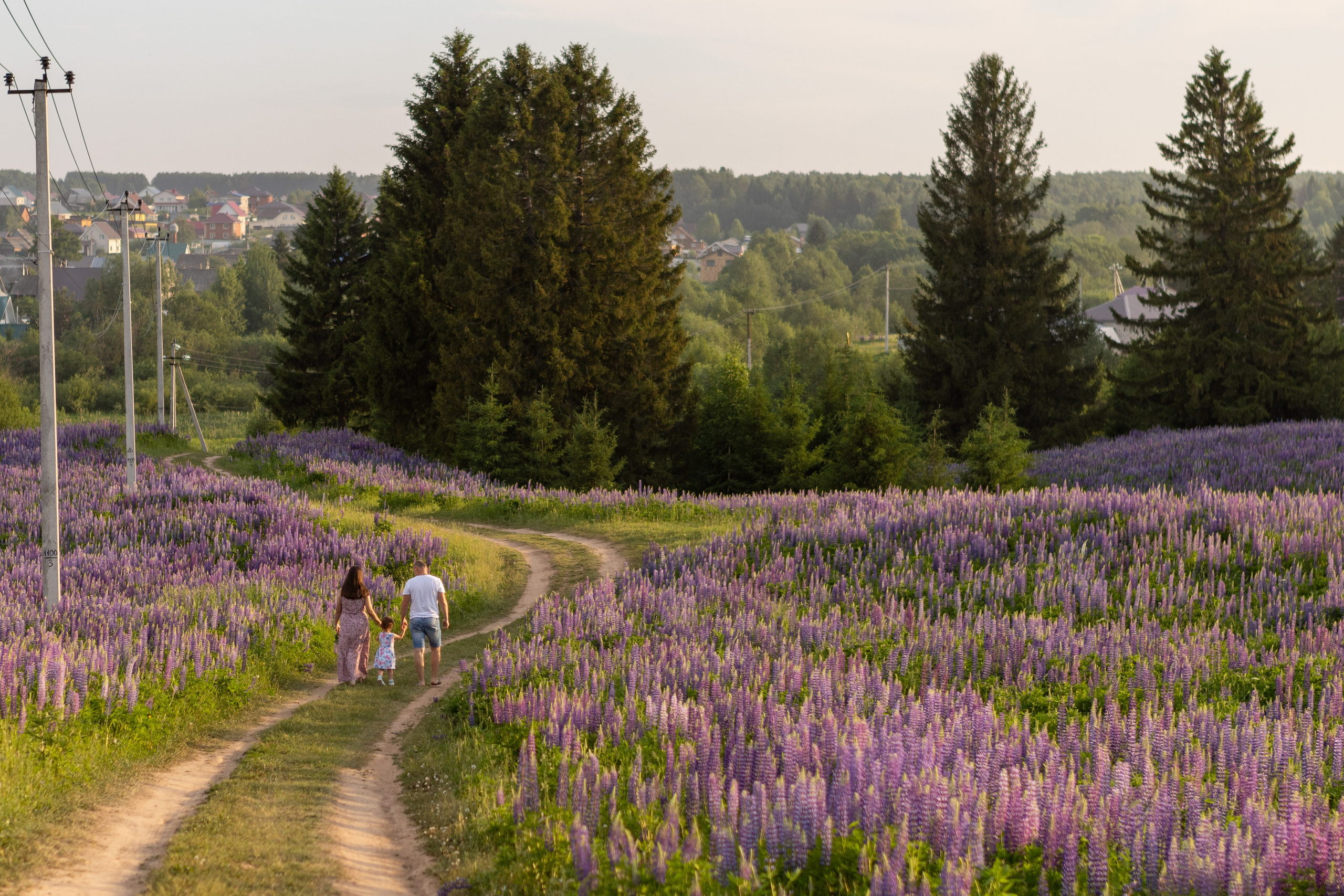 Разное. Фотограф Яна Матвеева в Ижевске
