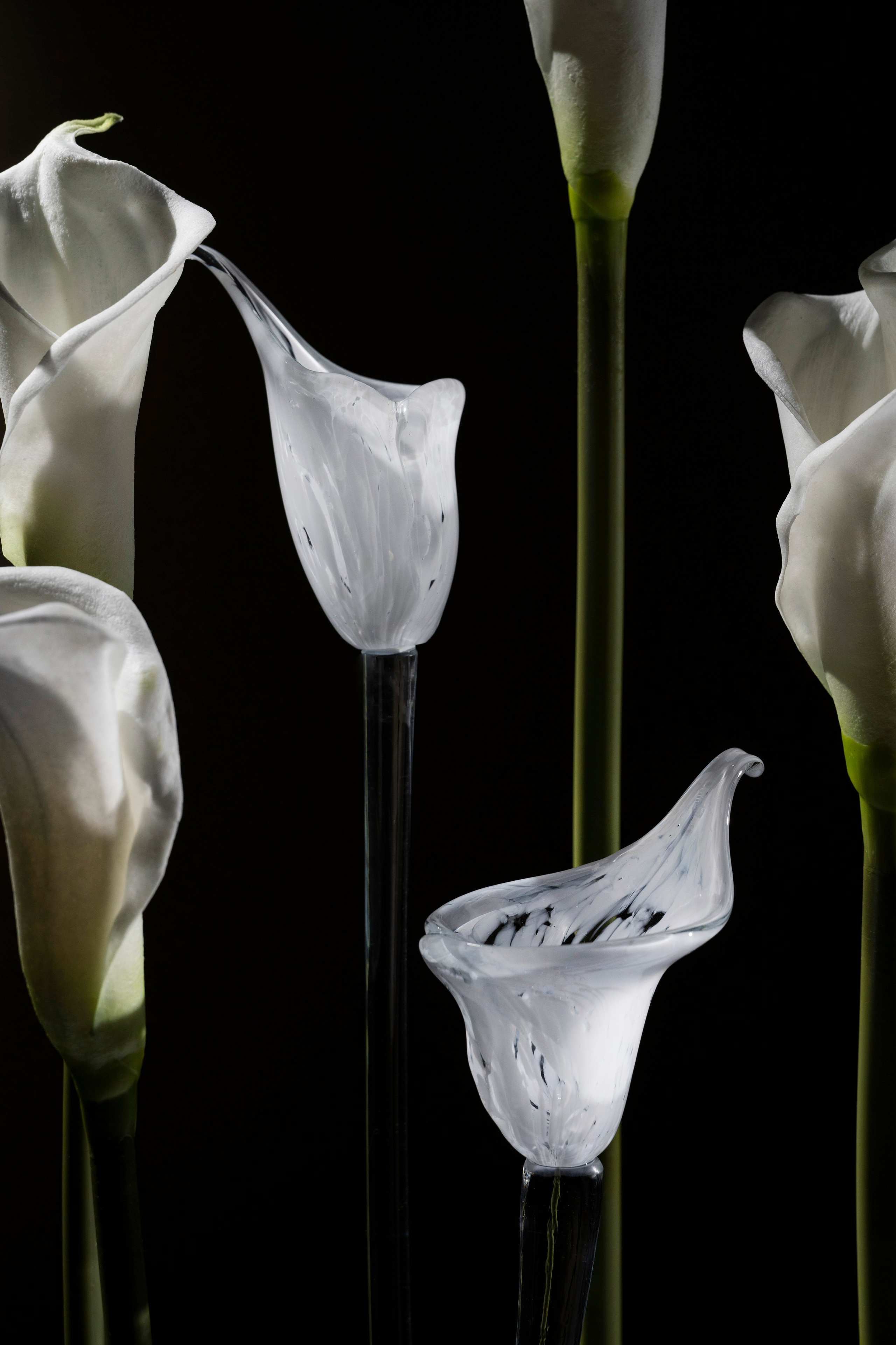 Предметная съемка. Фотограф в Москве Савкина Евгения