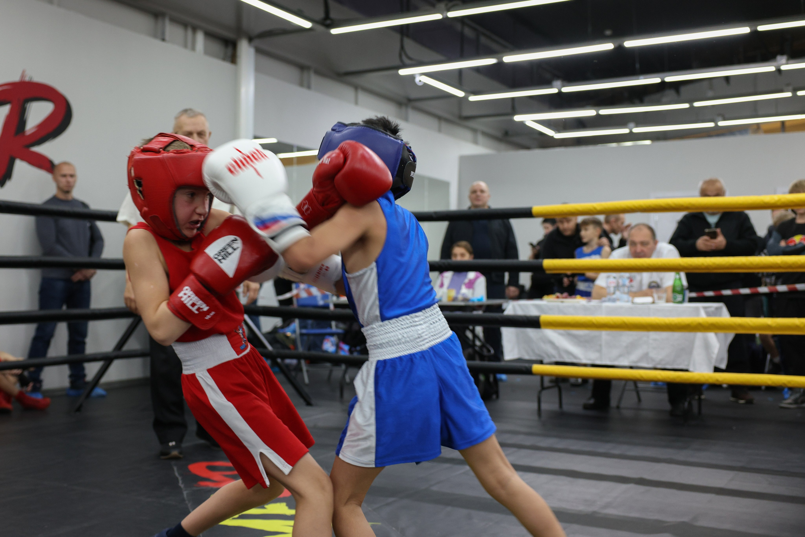 Открытый ринг «кубок ООО «ТЭК НеваСпецТяж». Фотограф Александр Заломаев