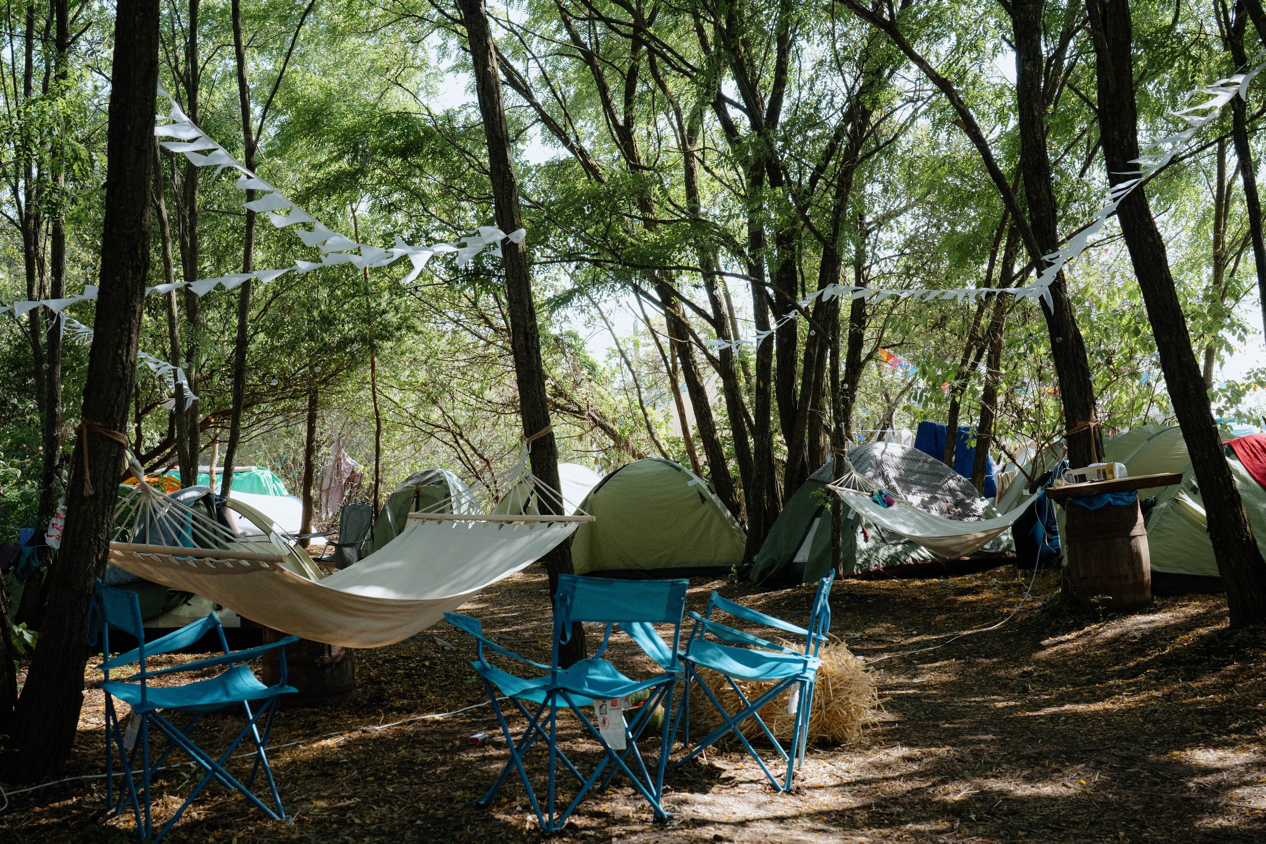 ASS FAMILY | СОН В ДЕРЕВНЕ | АВИАРЕЖИМ 8.0