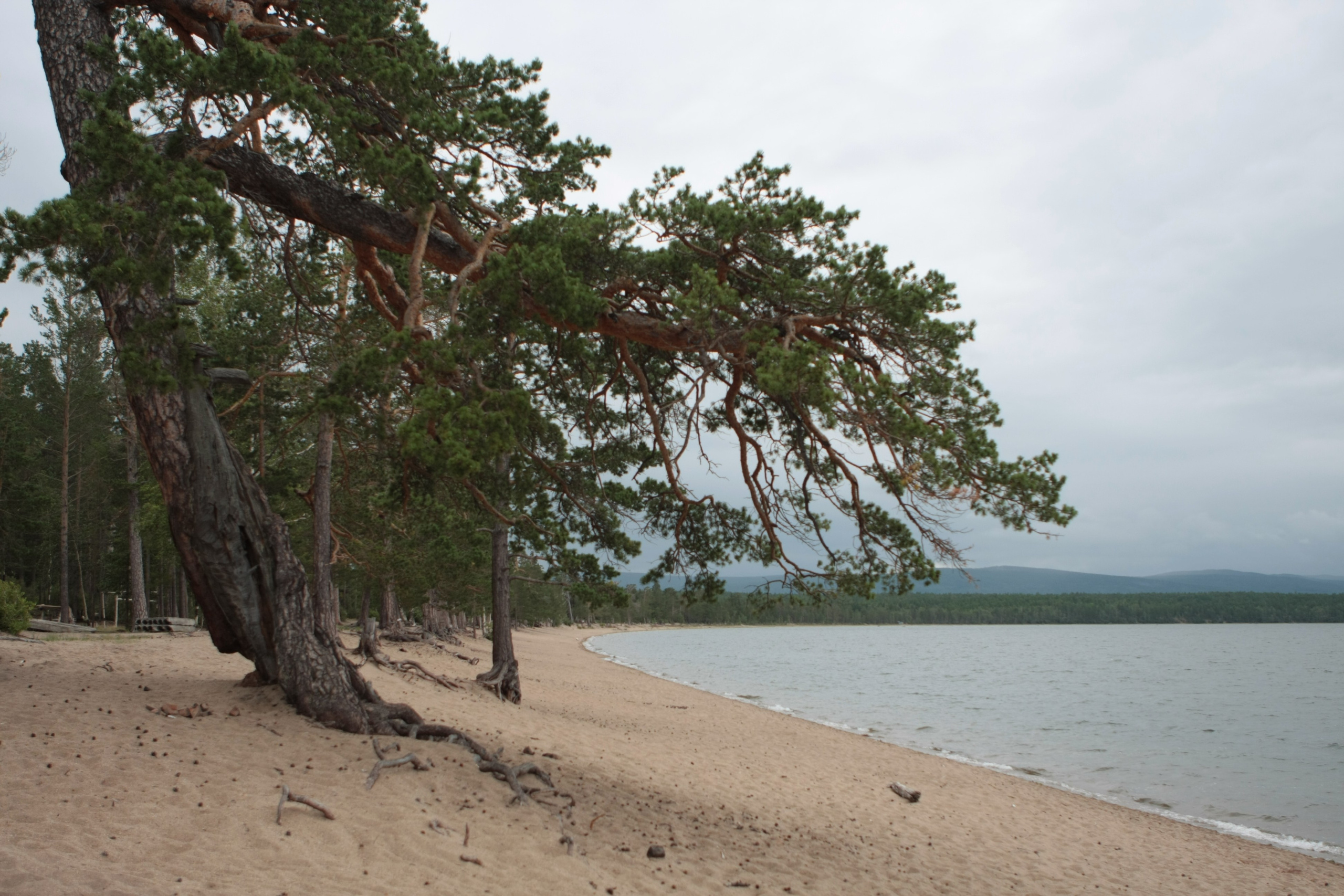 Фото Природы Забайкалья. Студия Максима Белослюдцева