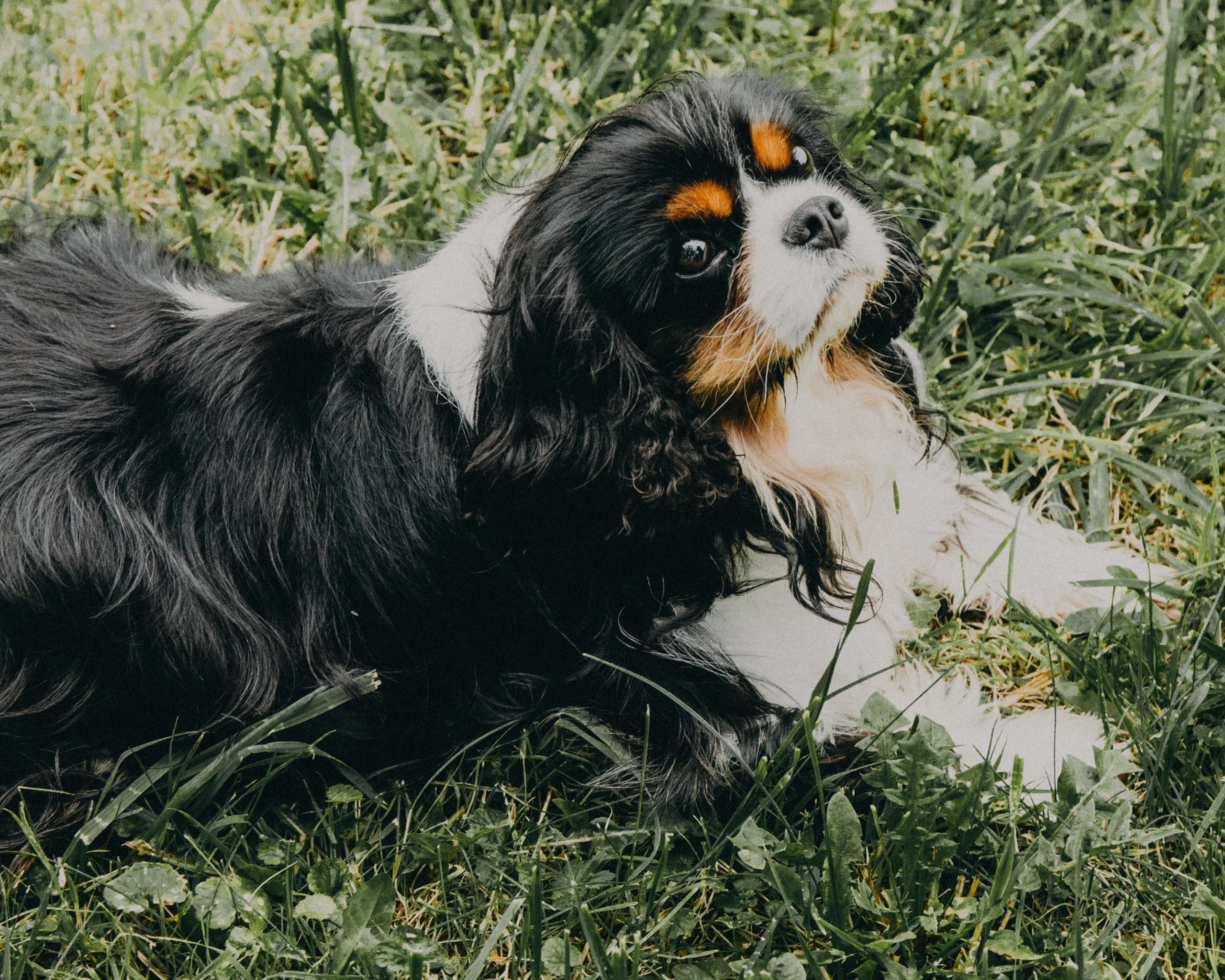 Гилдин. Портретный фотограф Ванинен Анастасия. Санкт-Петербург