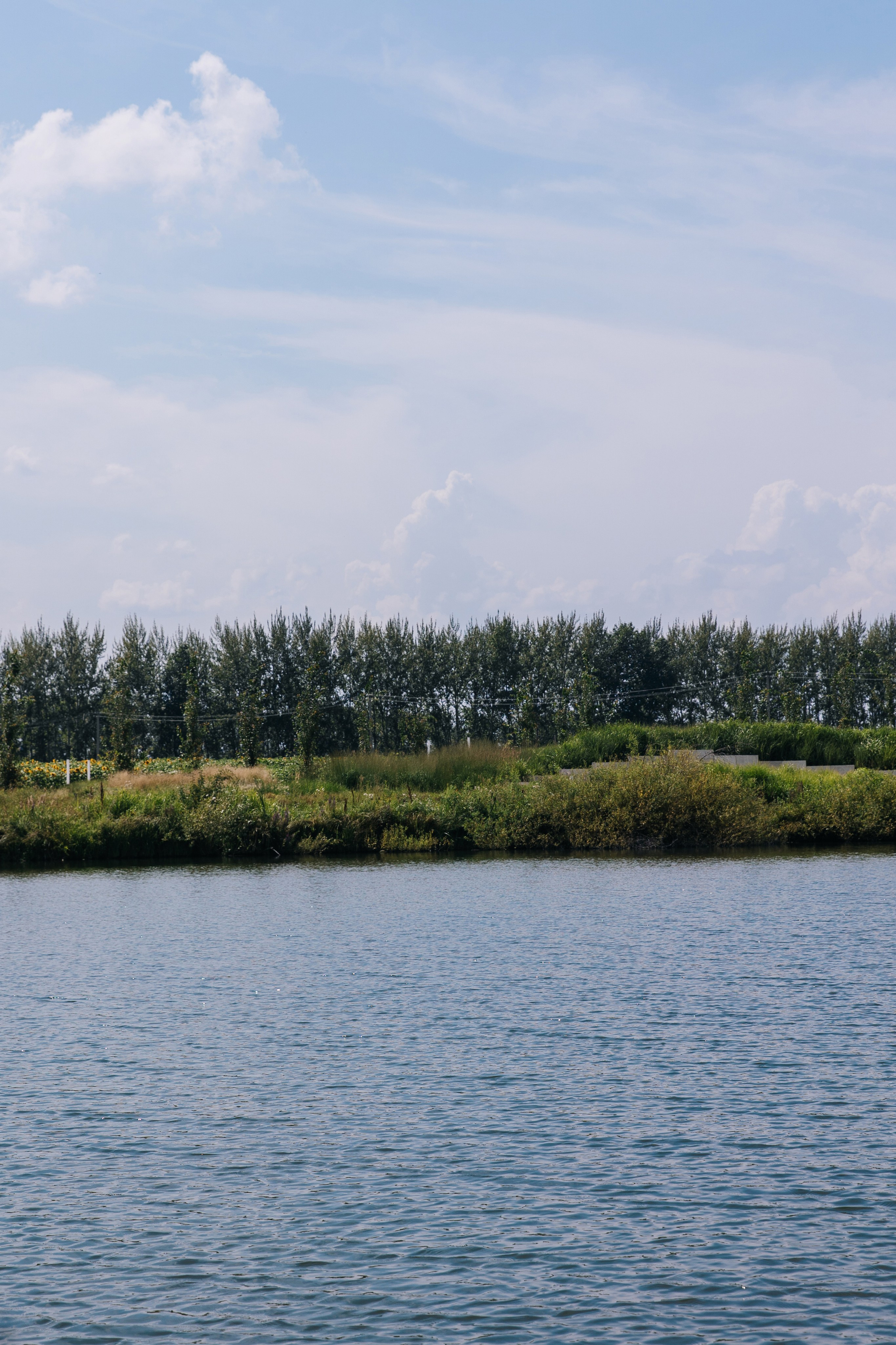 Богдан и Анастасия. Главная