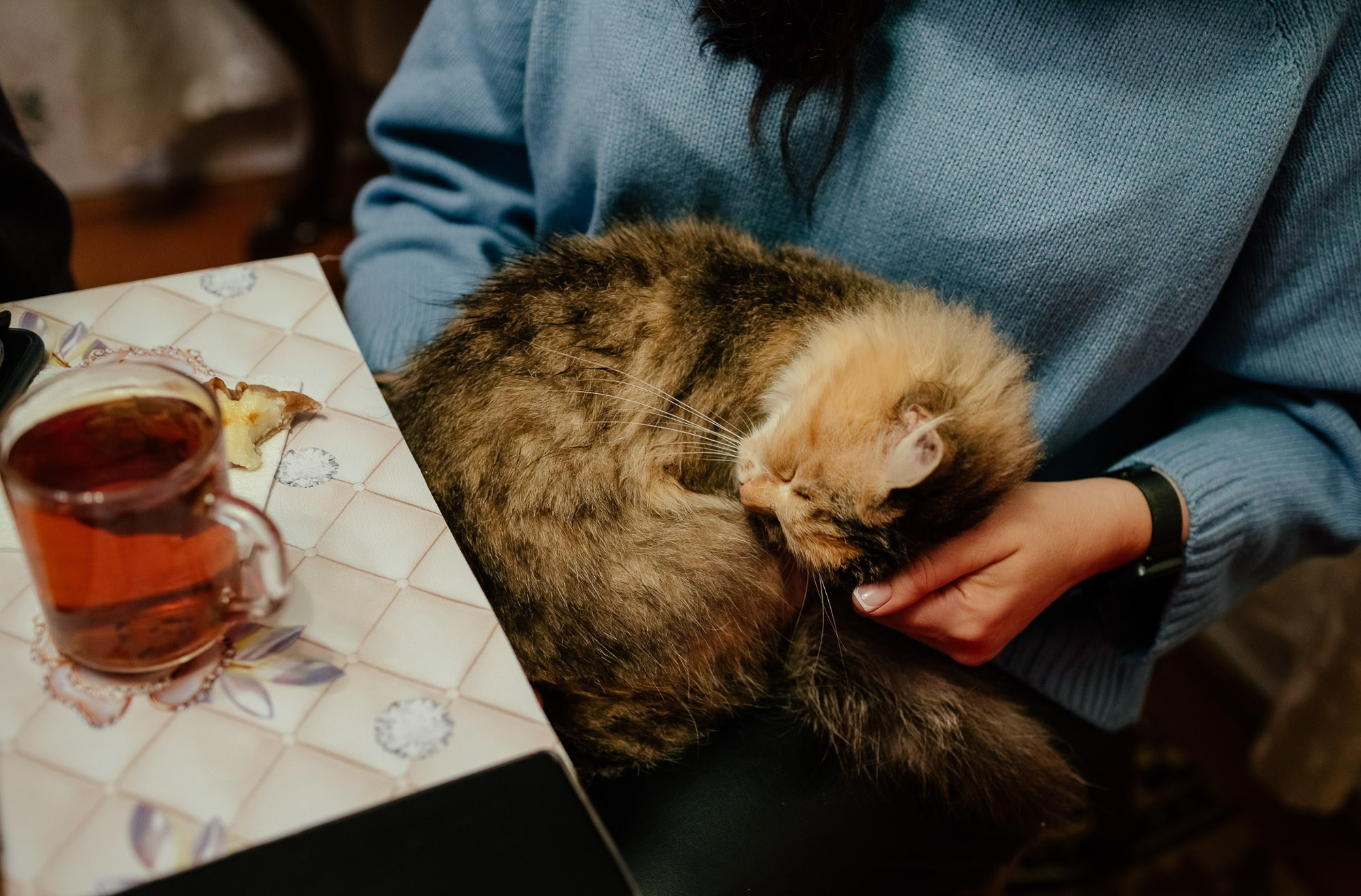 Поездка в вепсские деревни к «Лес и Ветер» 10-12.11.23. Портретный и свадебный фотограф в Санкт-Петербурге Ольга Филиппова