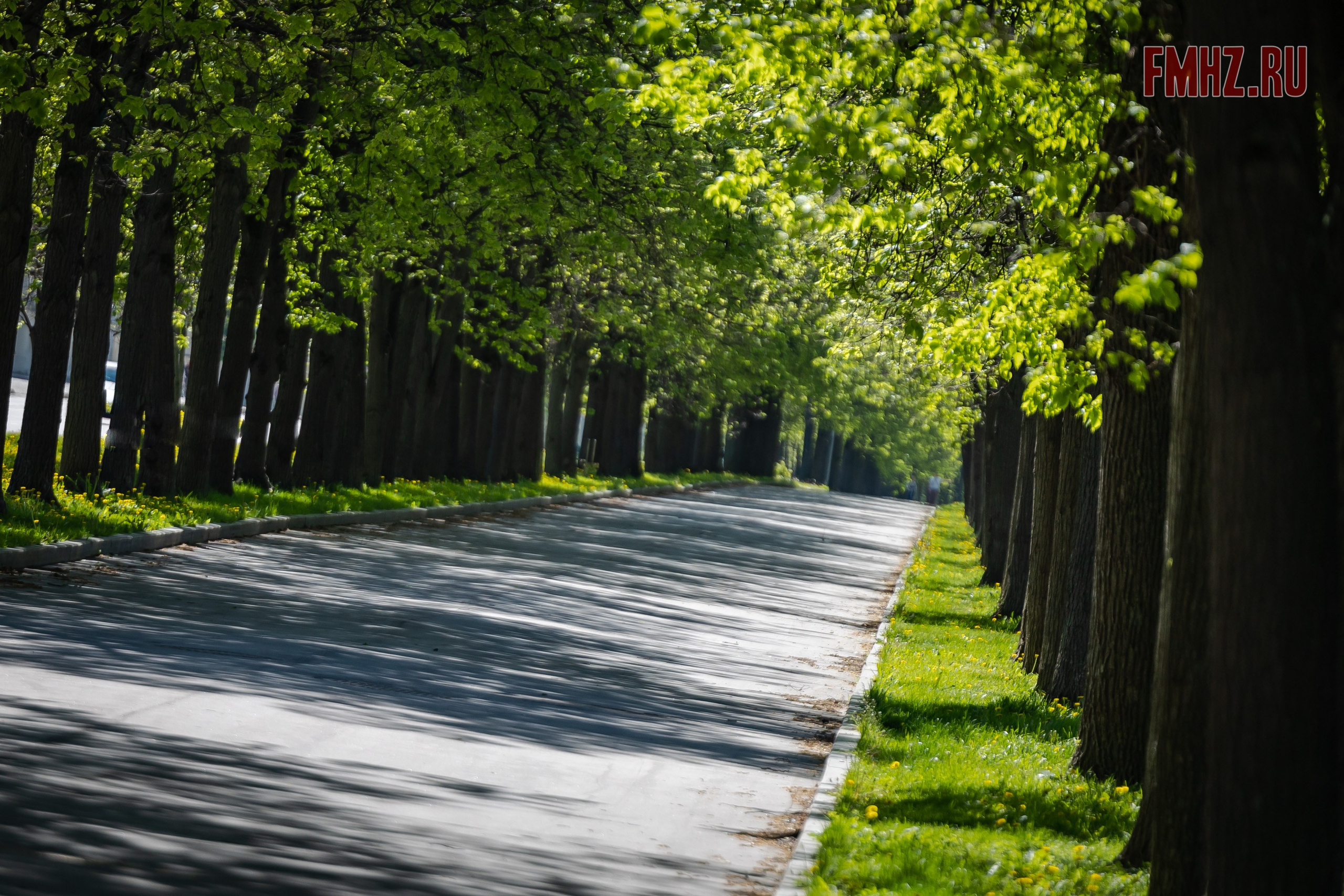 Открытие мотосезона «True Bankers» (18.05.2024). Фотограф Владимир Охрименко