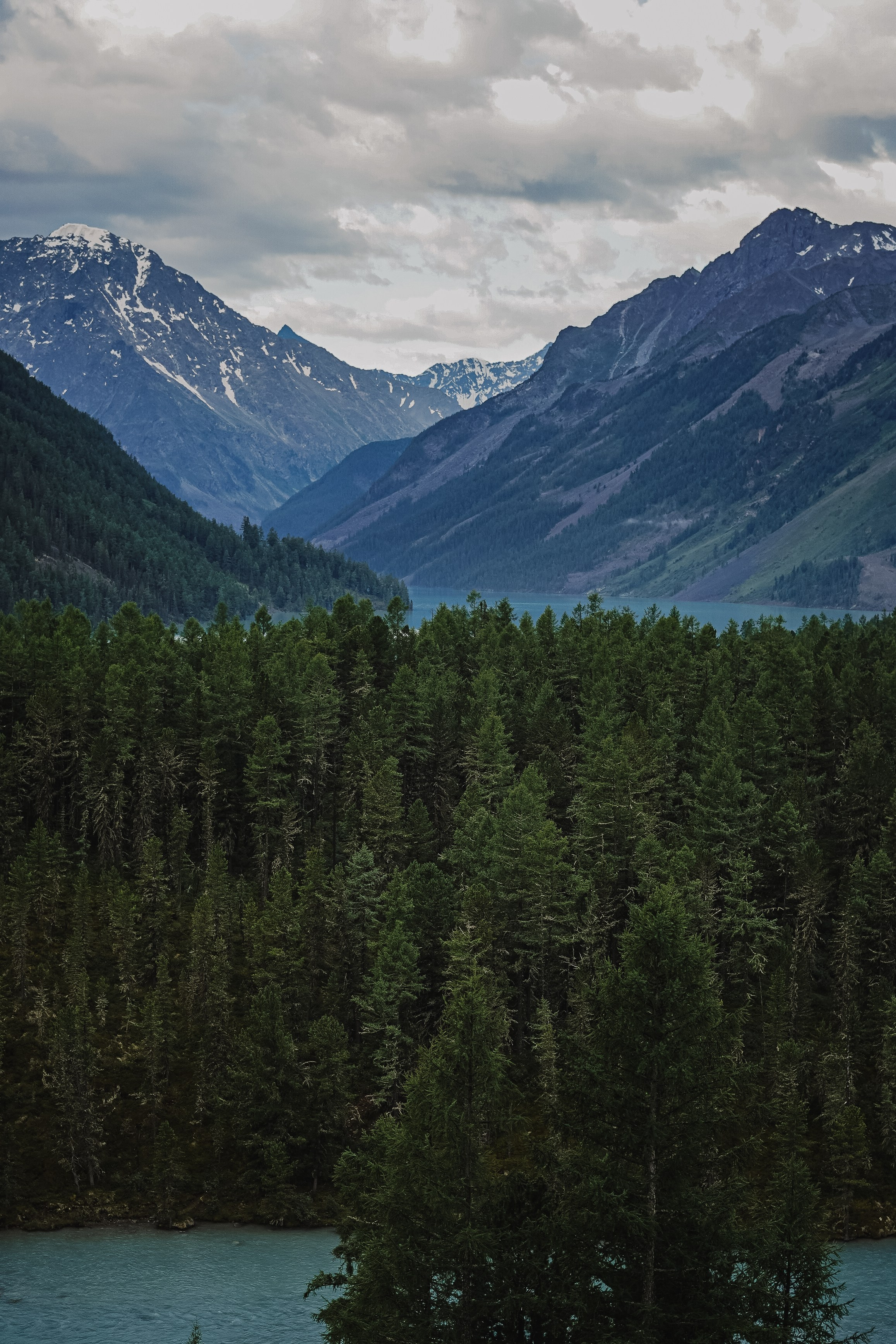 Алтай, поход к Белухе 2023. Фотограф Ольга Пучкова