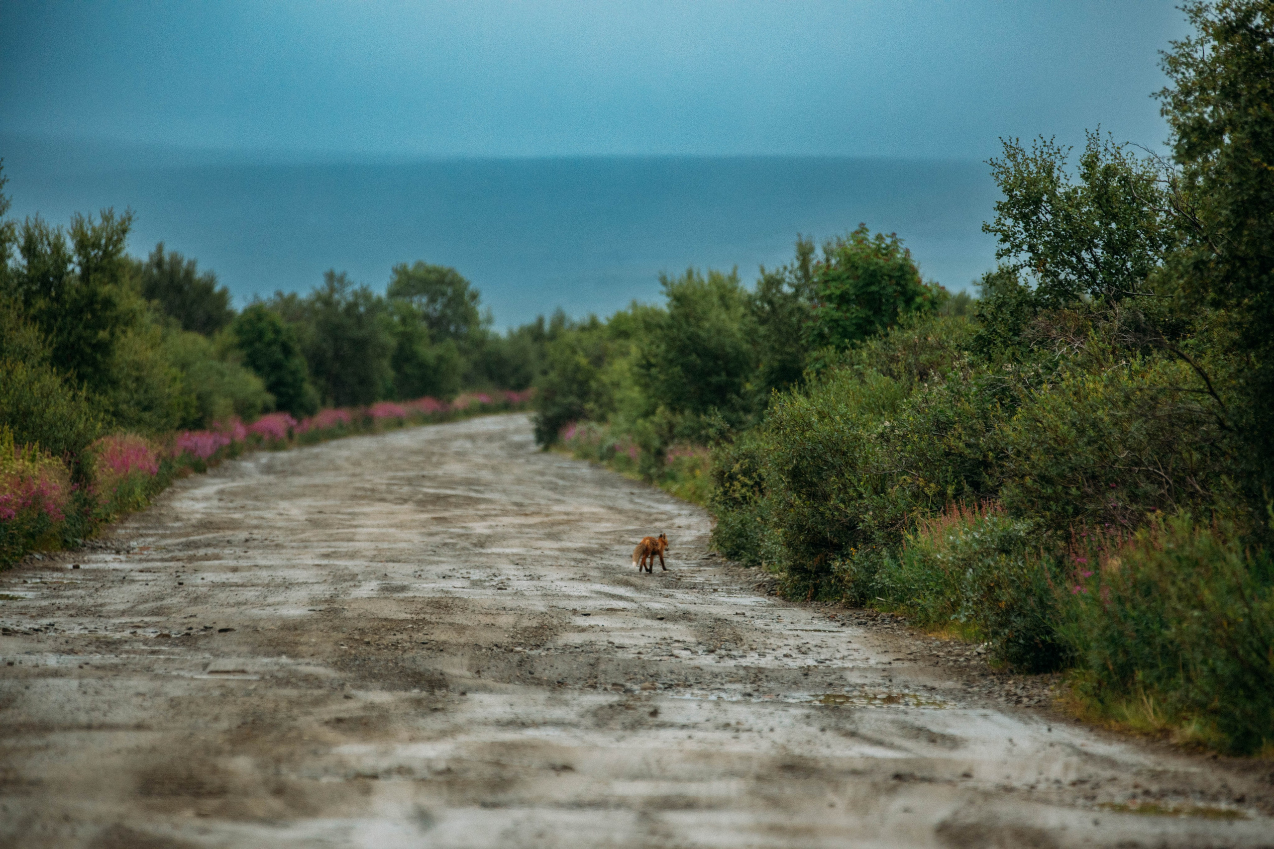 Кольский полуостров. Фотографирую для себя, своей семьи и друзей!