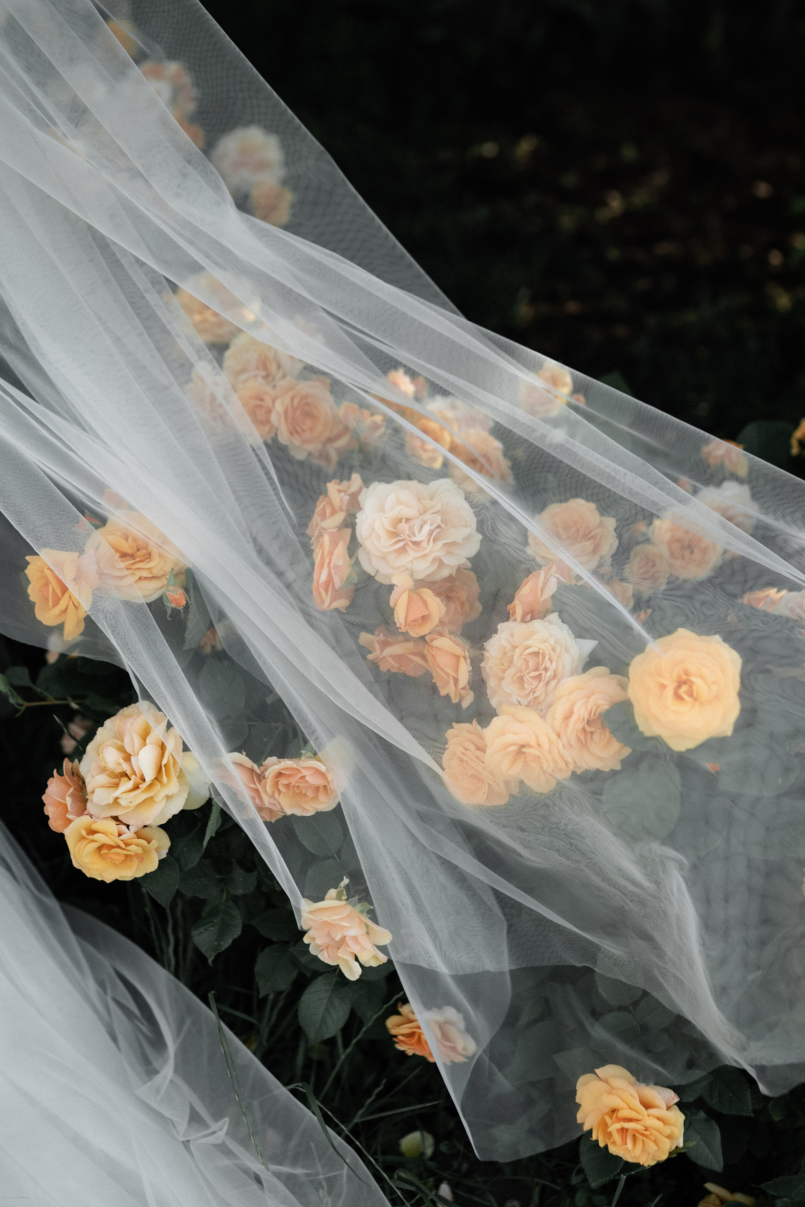 Галерея. Свадебный фотограф Евгения Наумовец