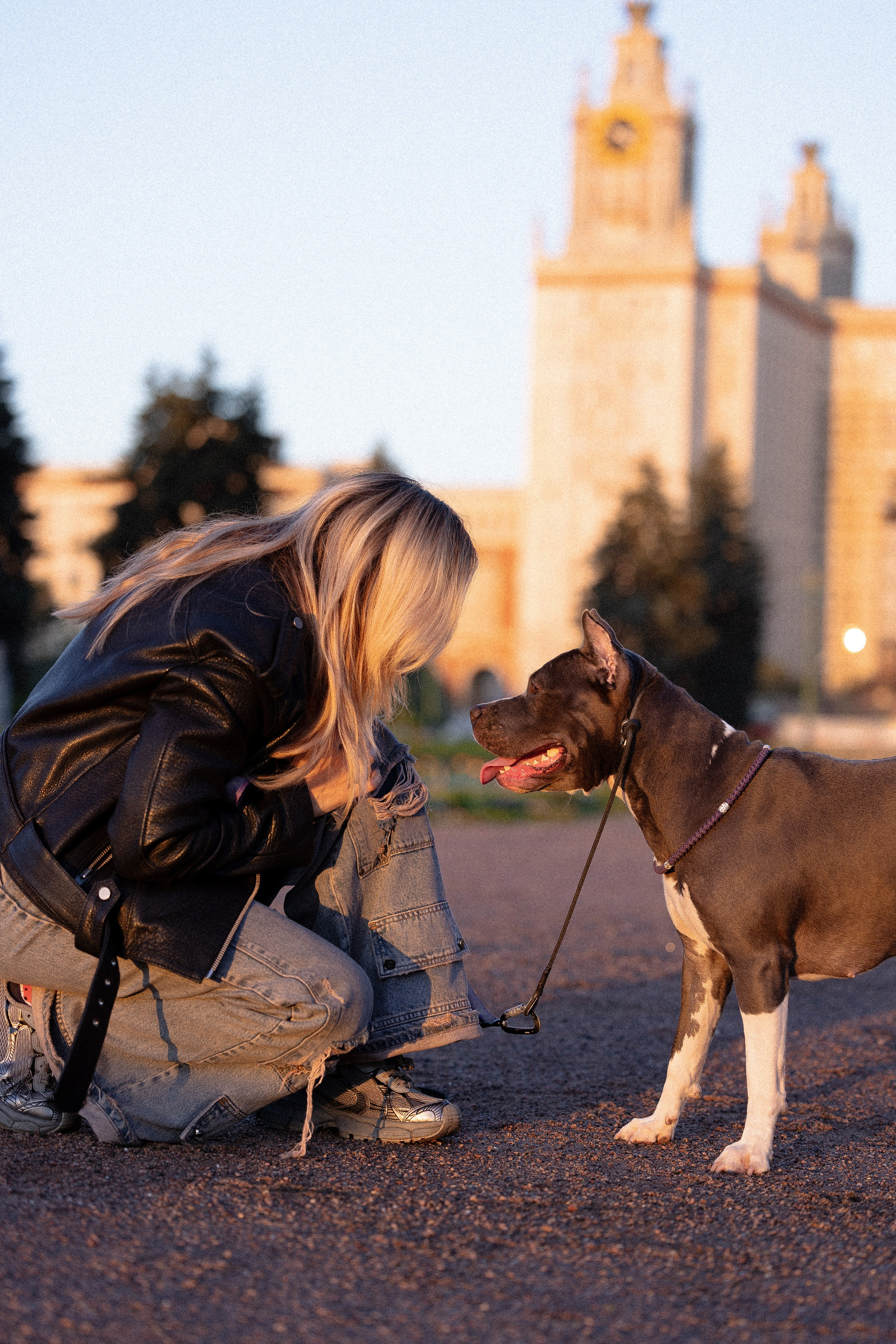Катя, Леша, Лея и Трой. Фотограф и видеограф анималист Аганина Дарья