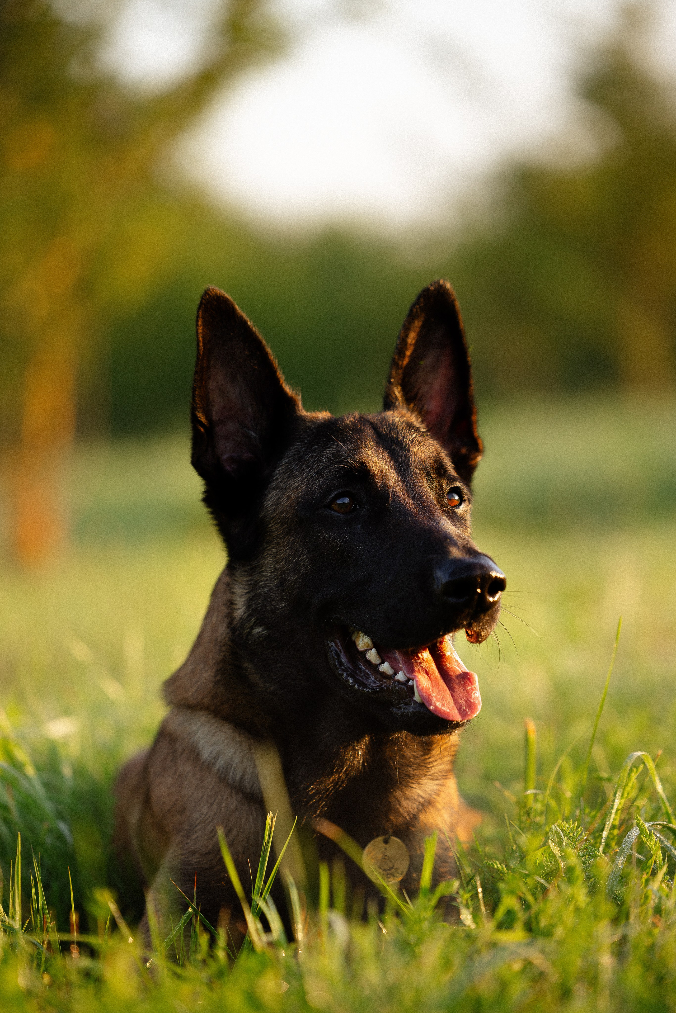 Галина и Кодекс. Фотограф и видеограф анималист Аганина Дарья