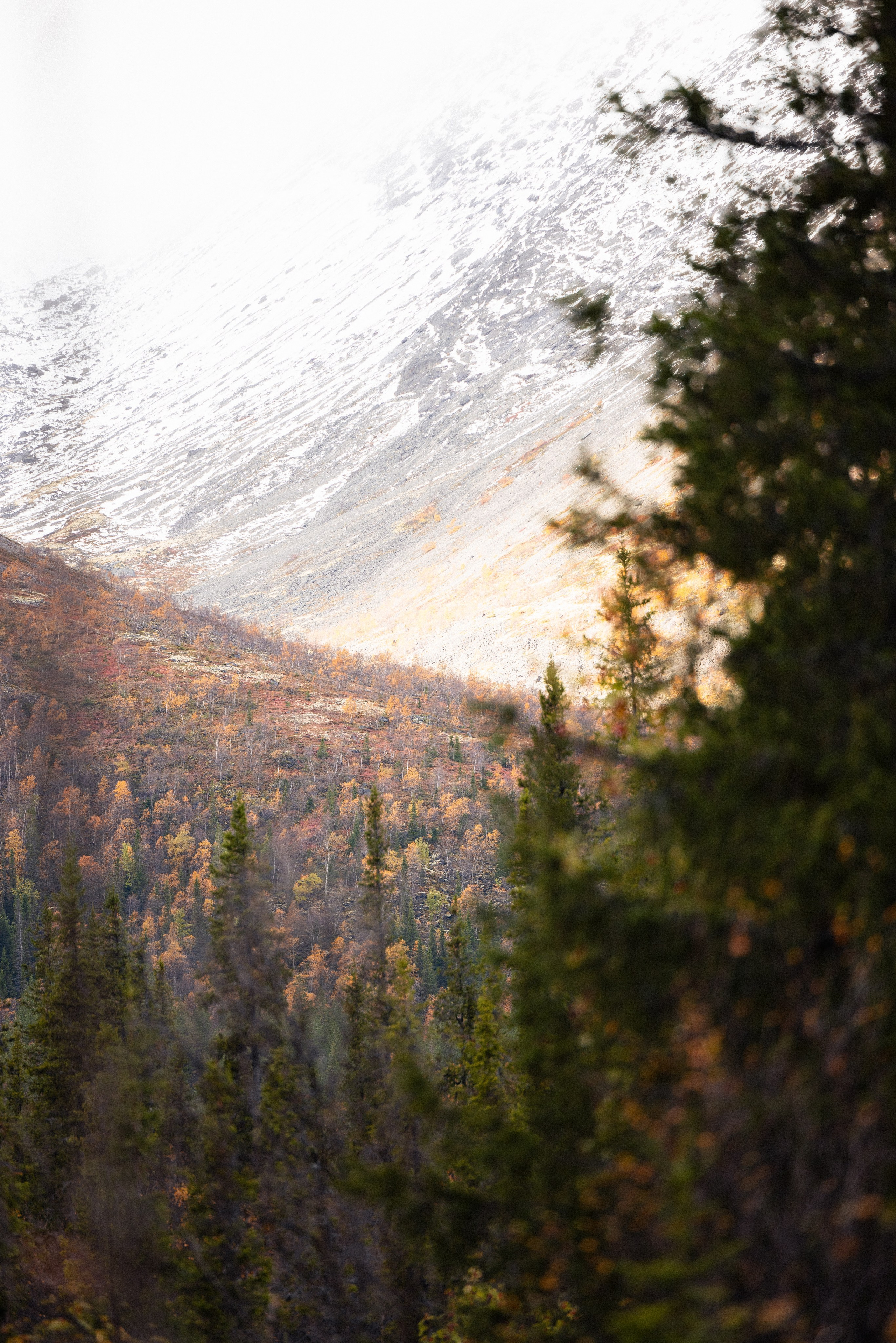Кольский. Фотограф и видеограф анималист Аганина Дарья