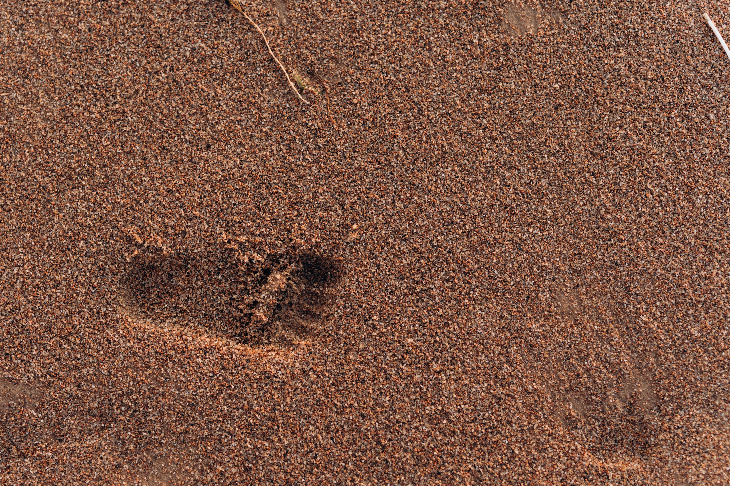 Звонкий смех. Семейный и женский фотограф в Санкт-Петербурге Татьяна Стружкина