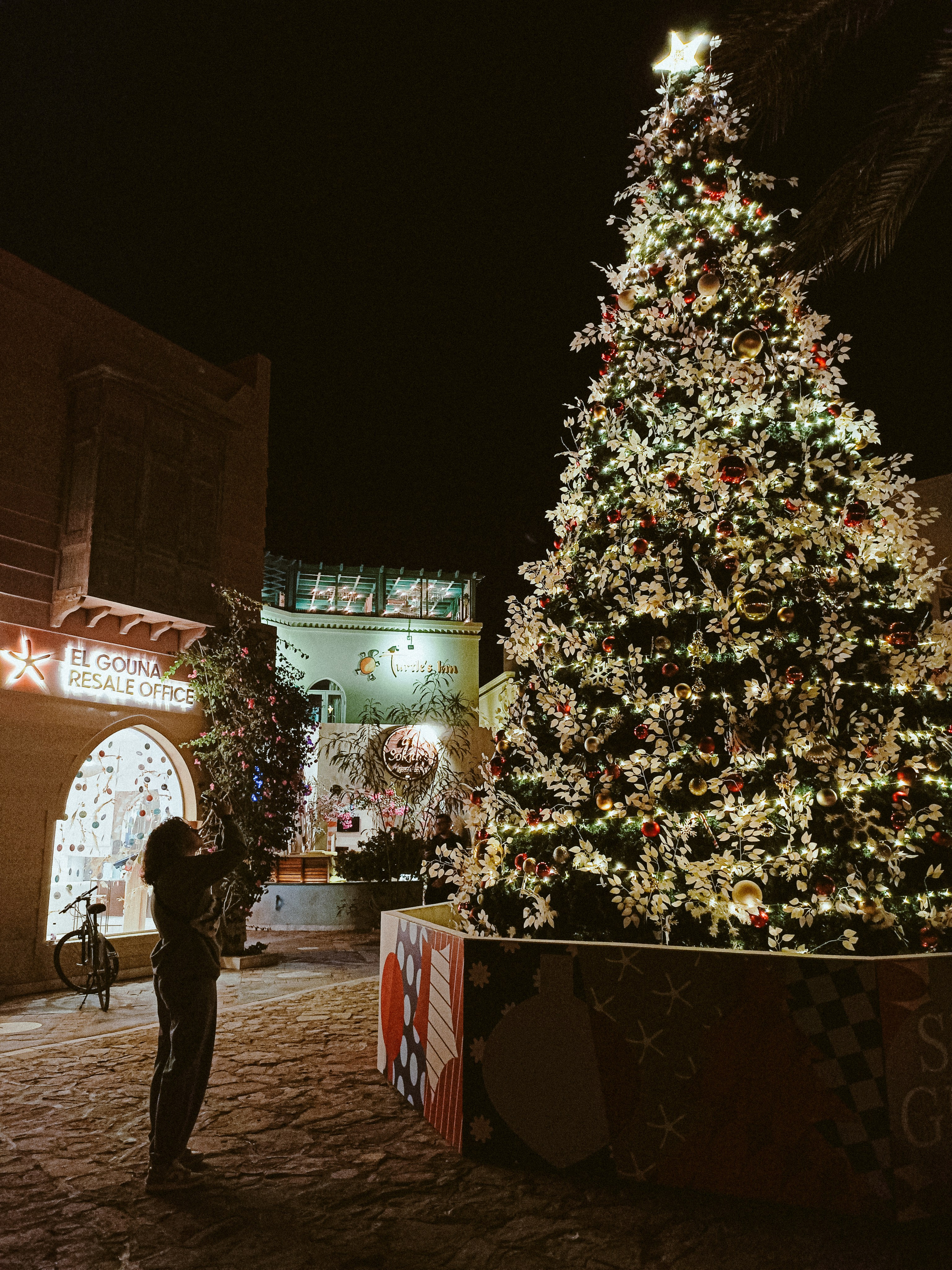 Мобильная. Jorgis — фотограф в Хургаде / обучение фотографии