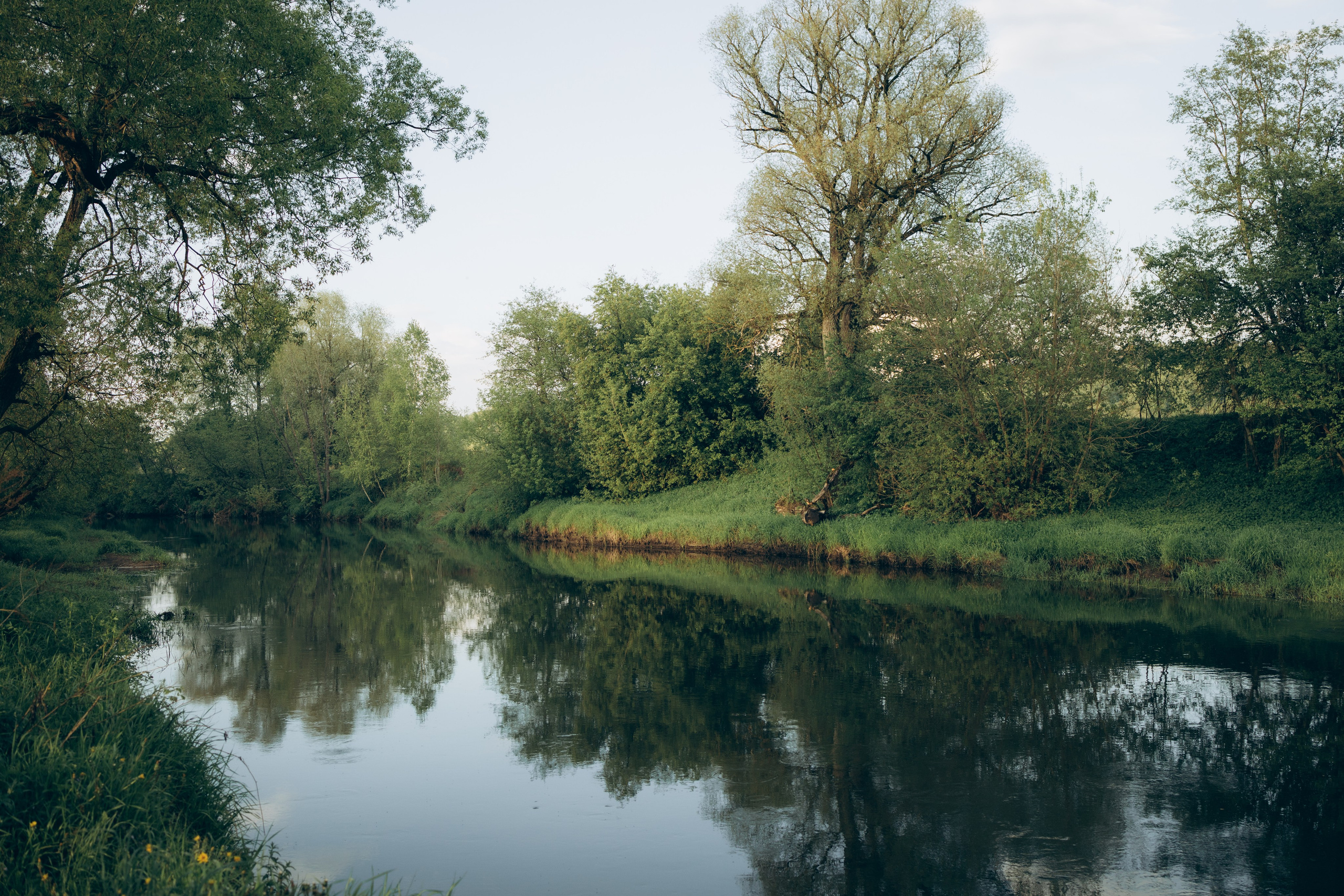 Istra. Женский фотограф Истра