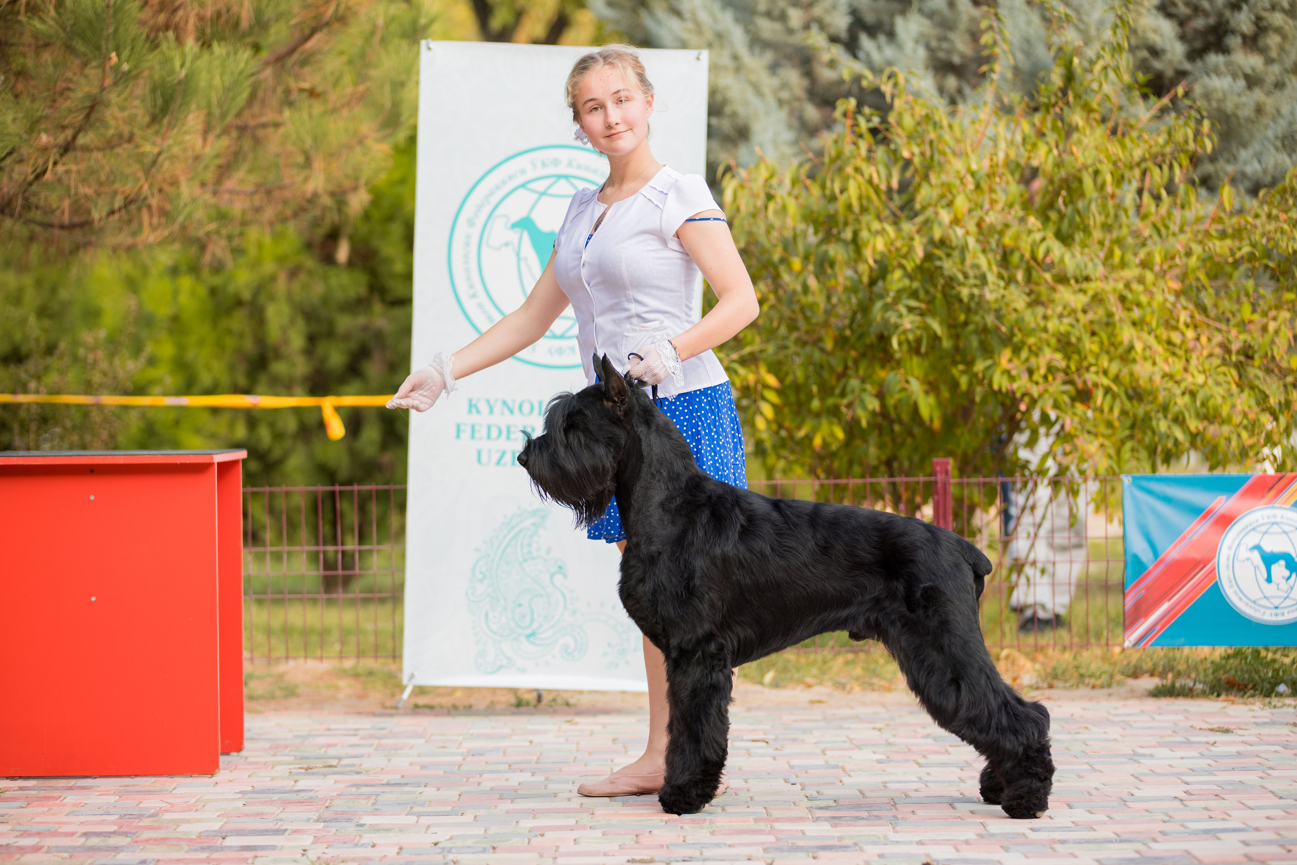 Ташкент 6-8.10.2023 + Алматы 14-15.10.2023. Фотограф-анималист Юлия Германика